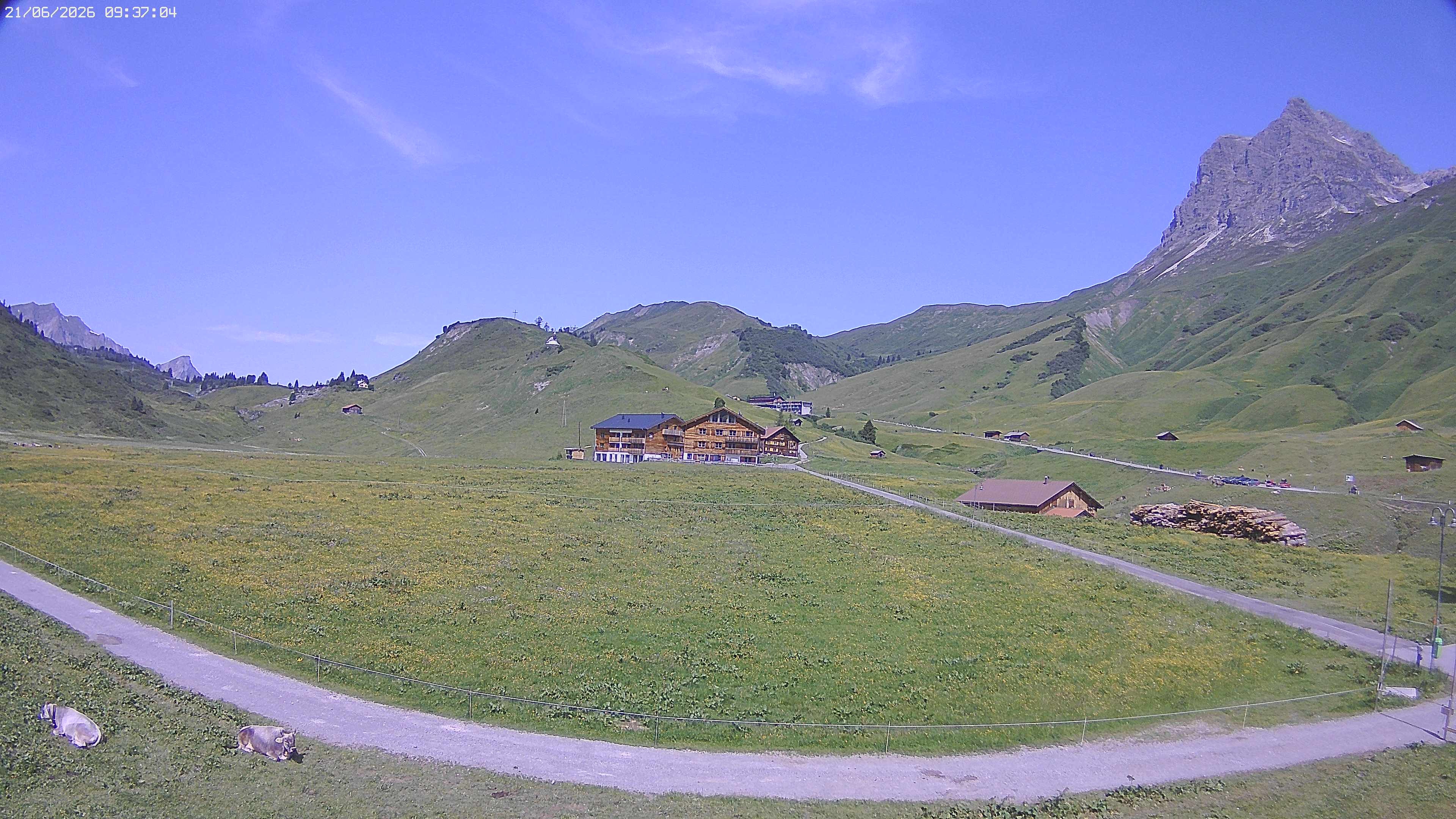 Archived image Webcam Jägeralpe near Warth