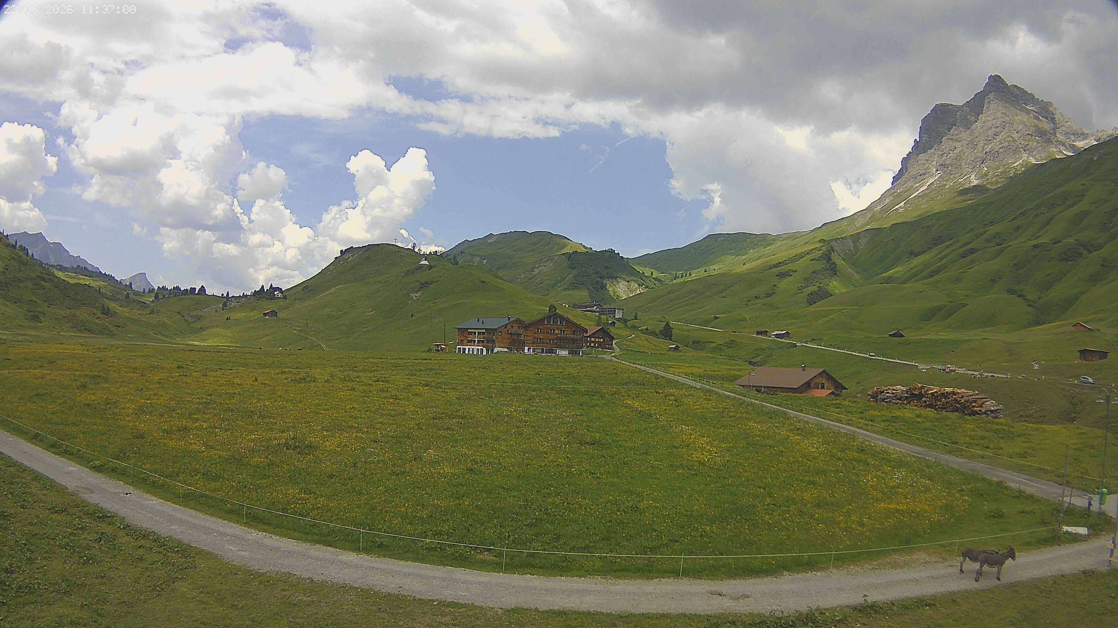 Archiv Foto Webcam Jägeralpe bei Warth