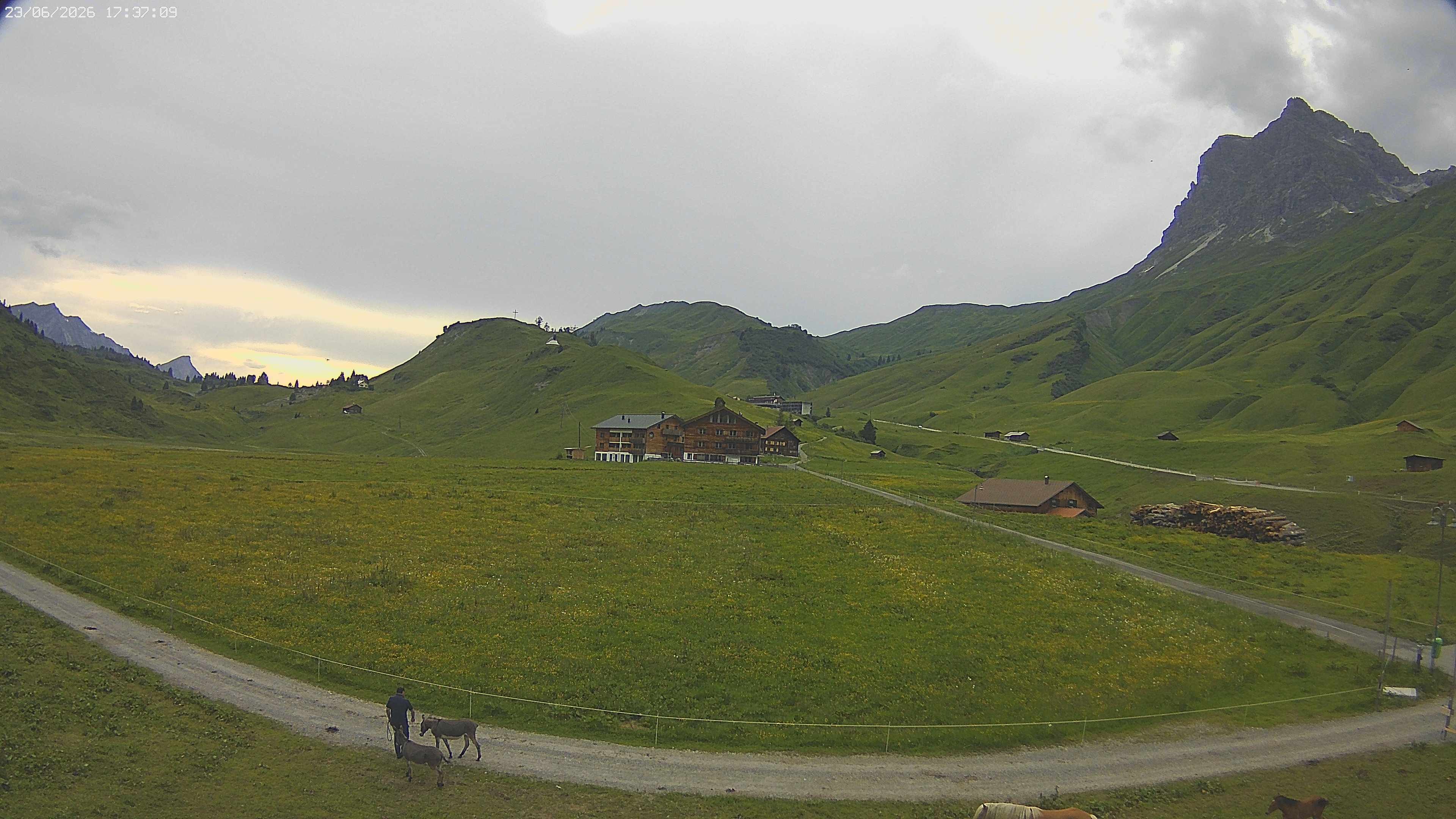 Archived image Webcam Jägeralpe near Warth