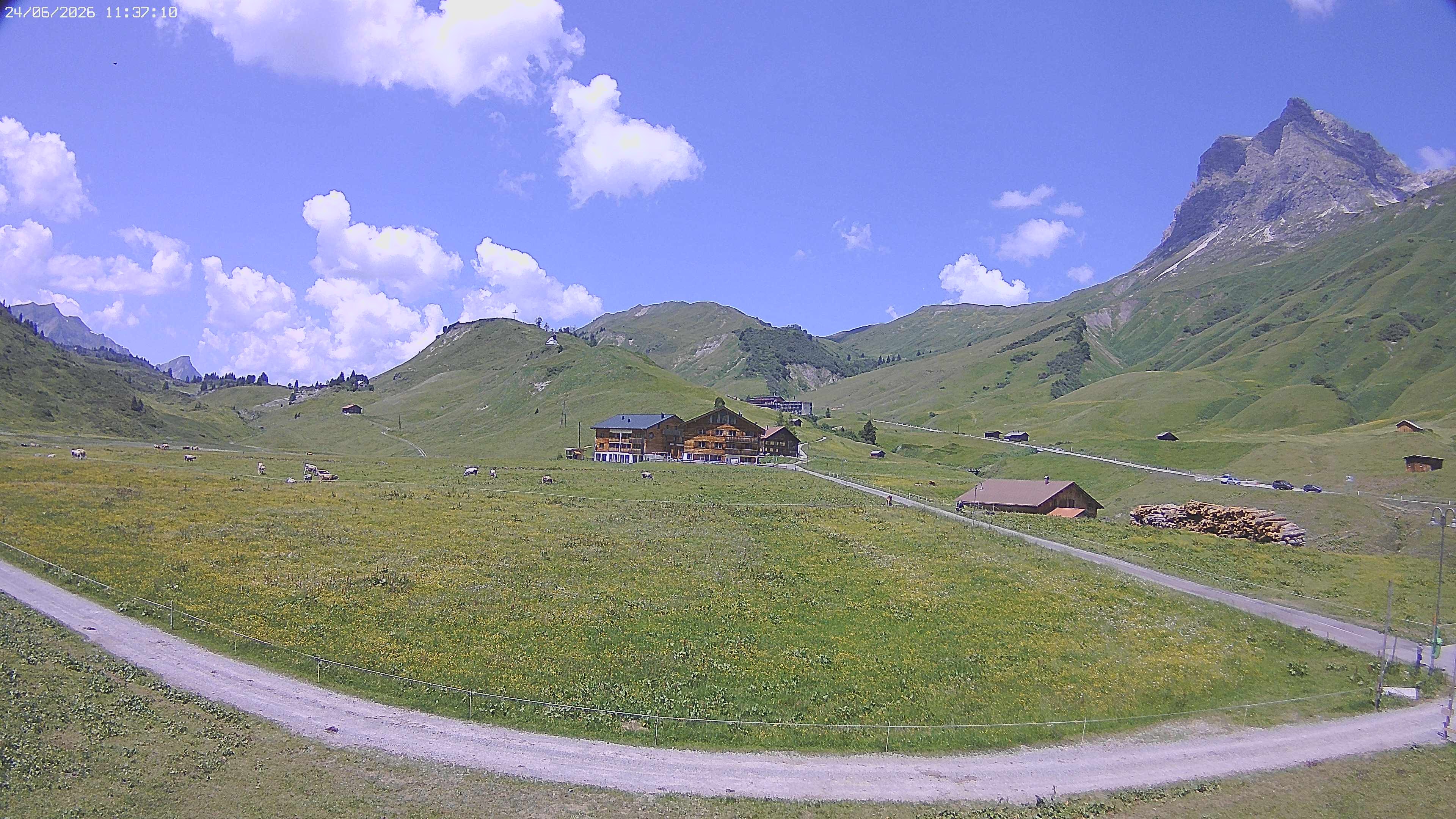 Archiv Foto Webcam Jägeralpe bei Warth