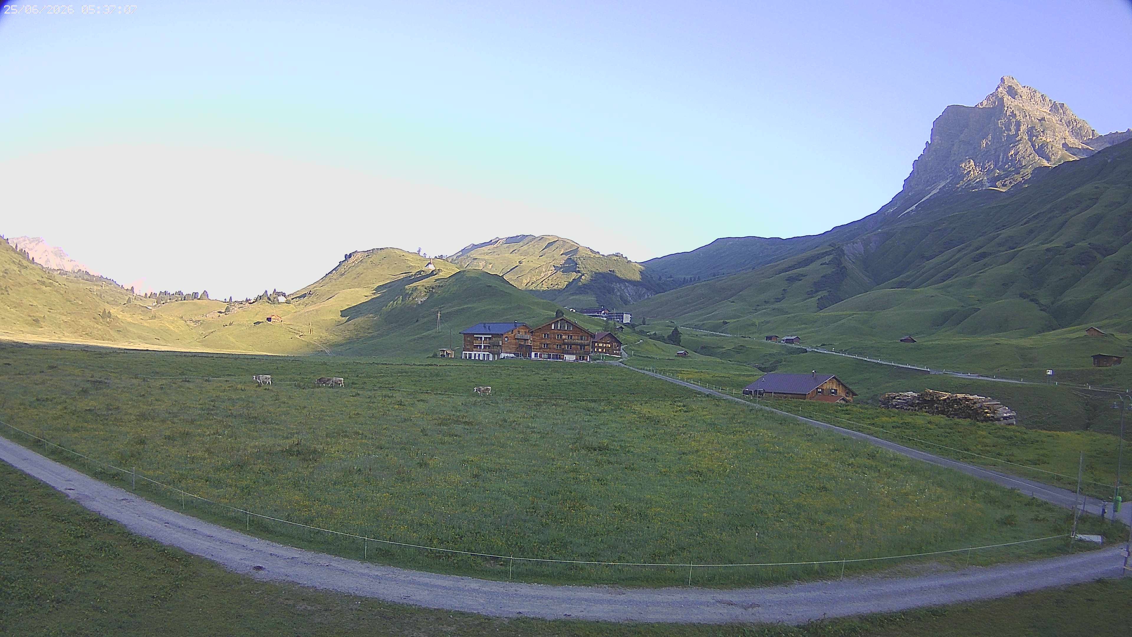 Archived image Webcam Jägeralpe near Warth