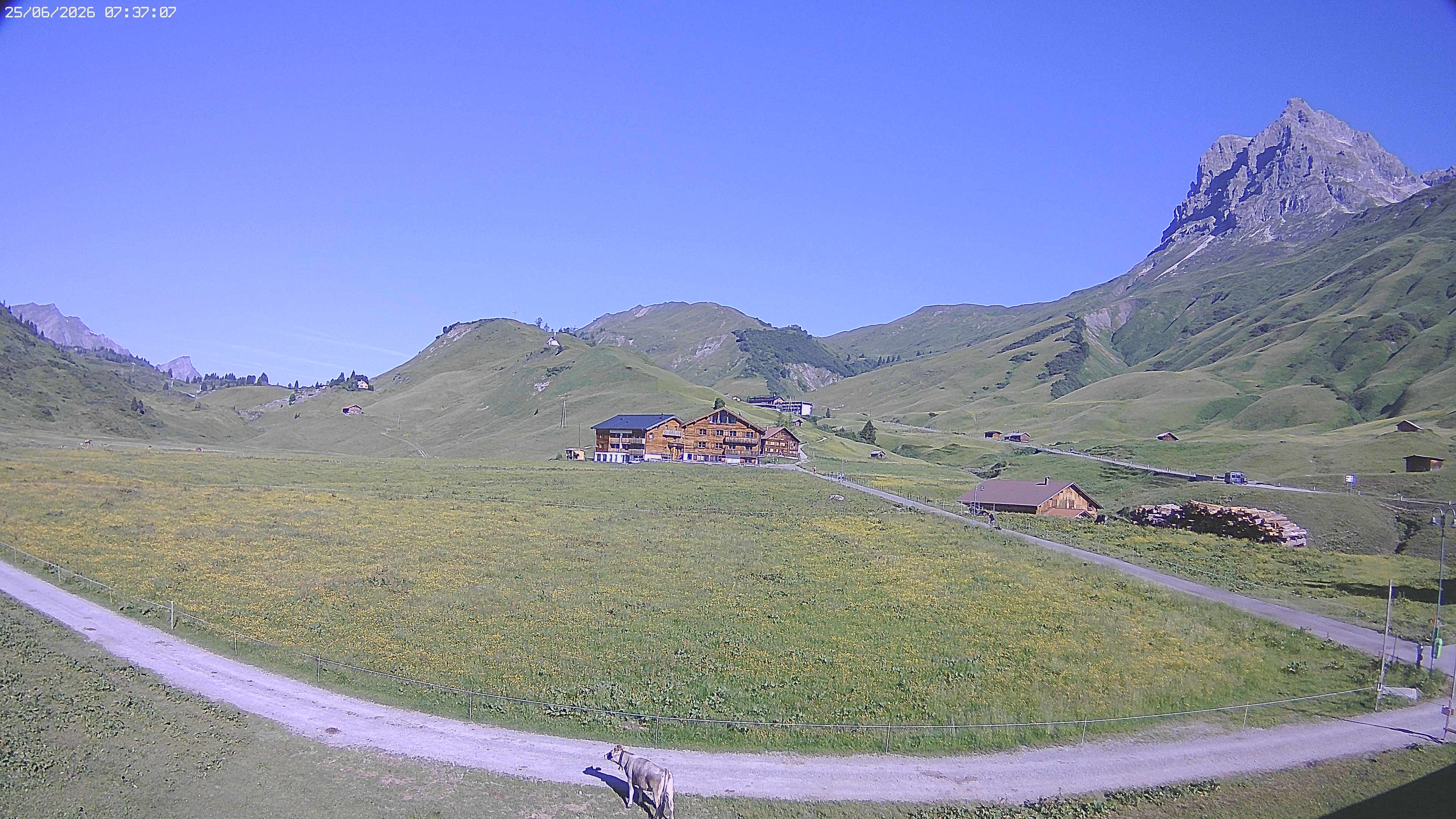 Archived image Webcam Jägeralpe near Warth