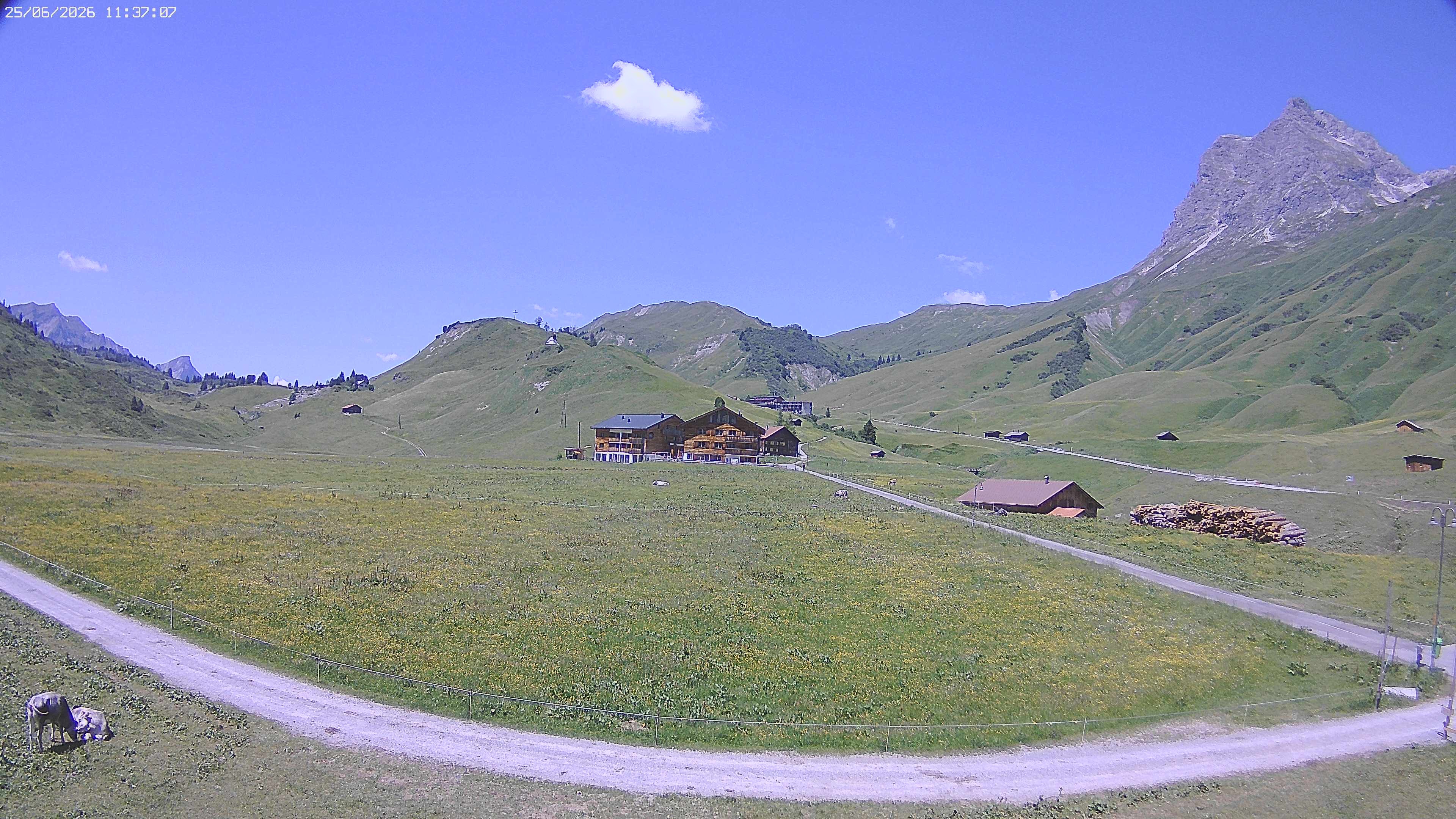 Archived image Webcam Jägeralpe near Warth