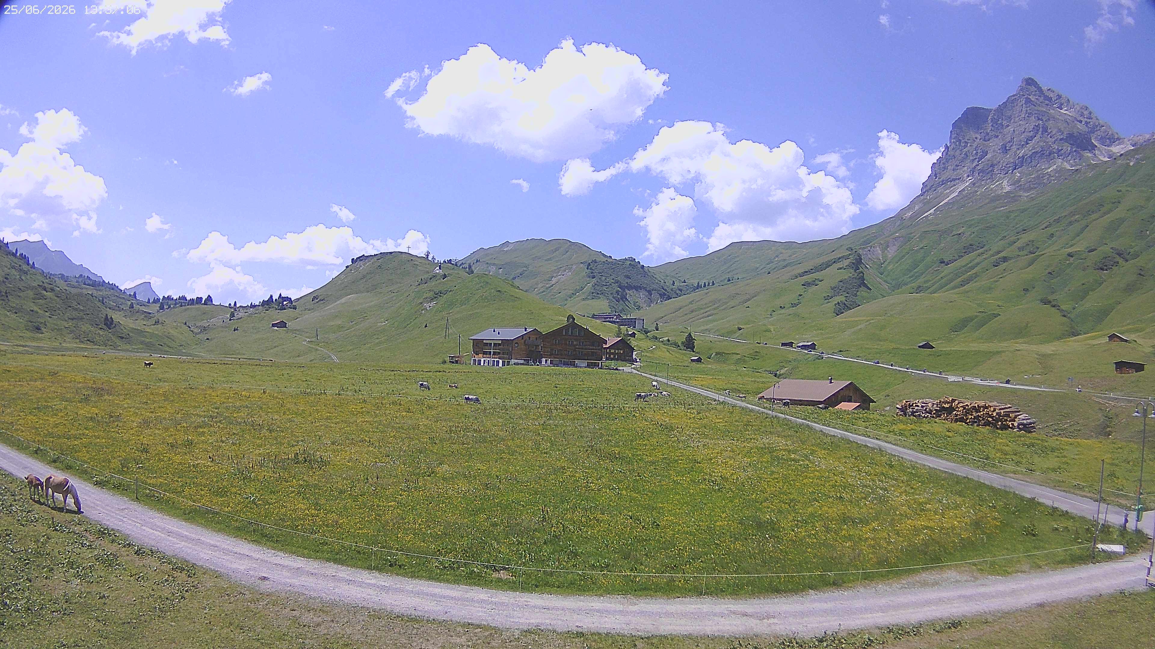 Archived image Webcam Jägeralpe near Warth