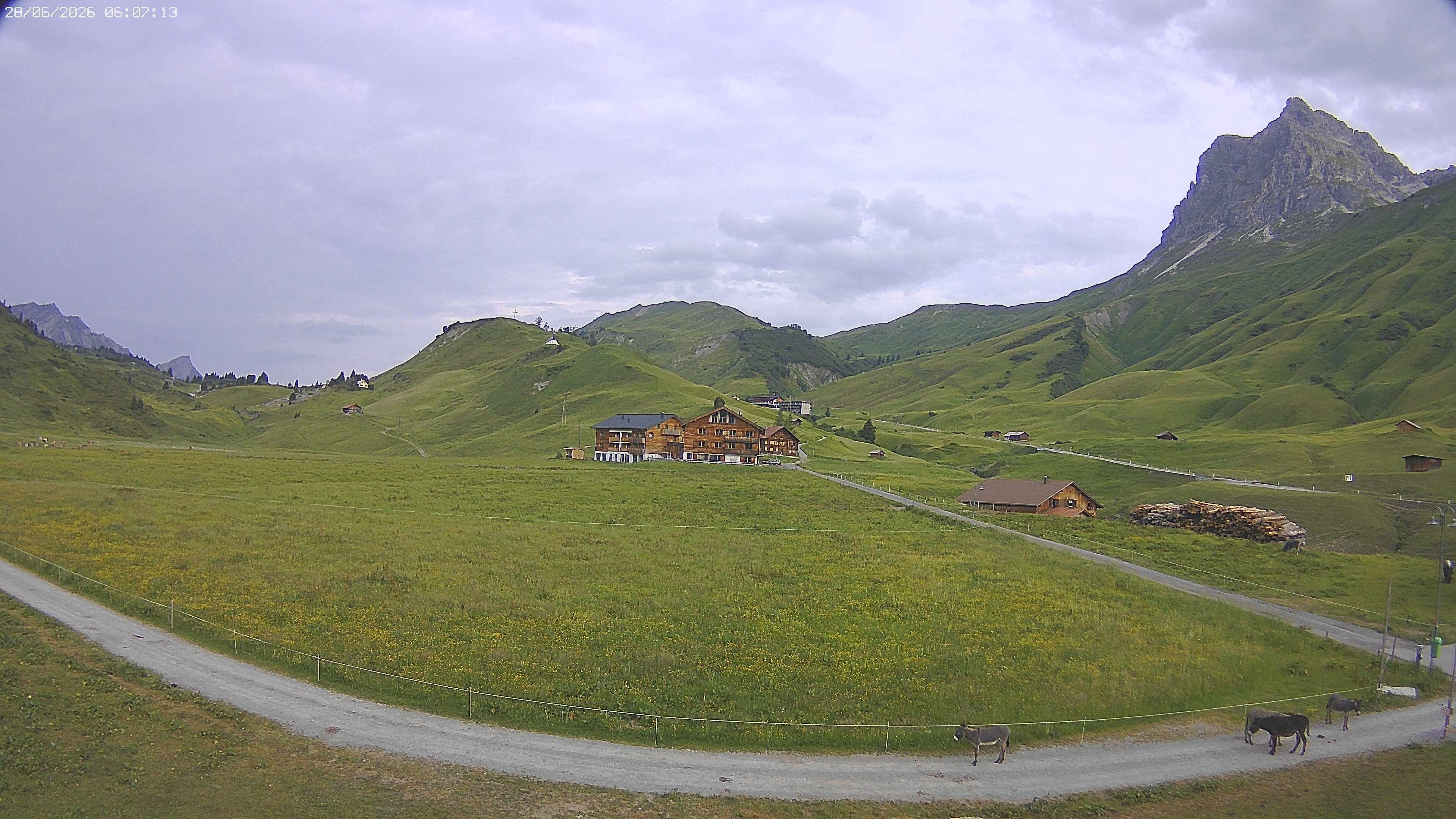 Archiv Foto Webcam Jägeralpe bei Warth