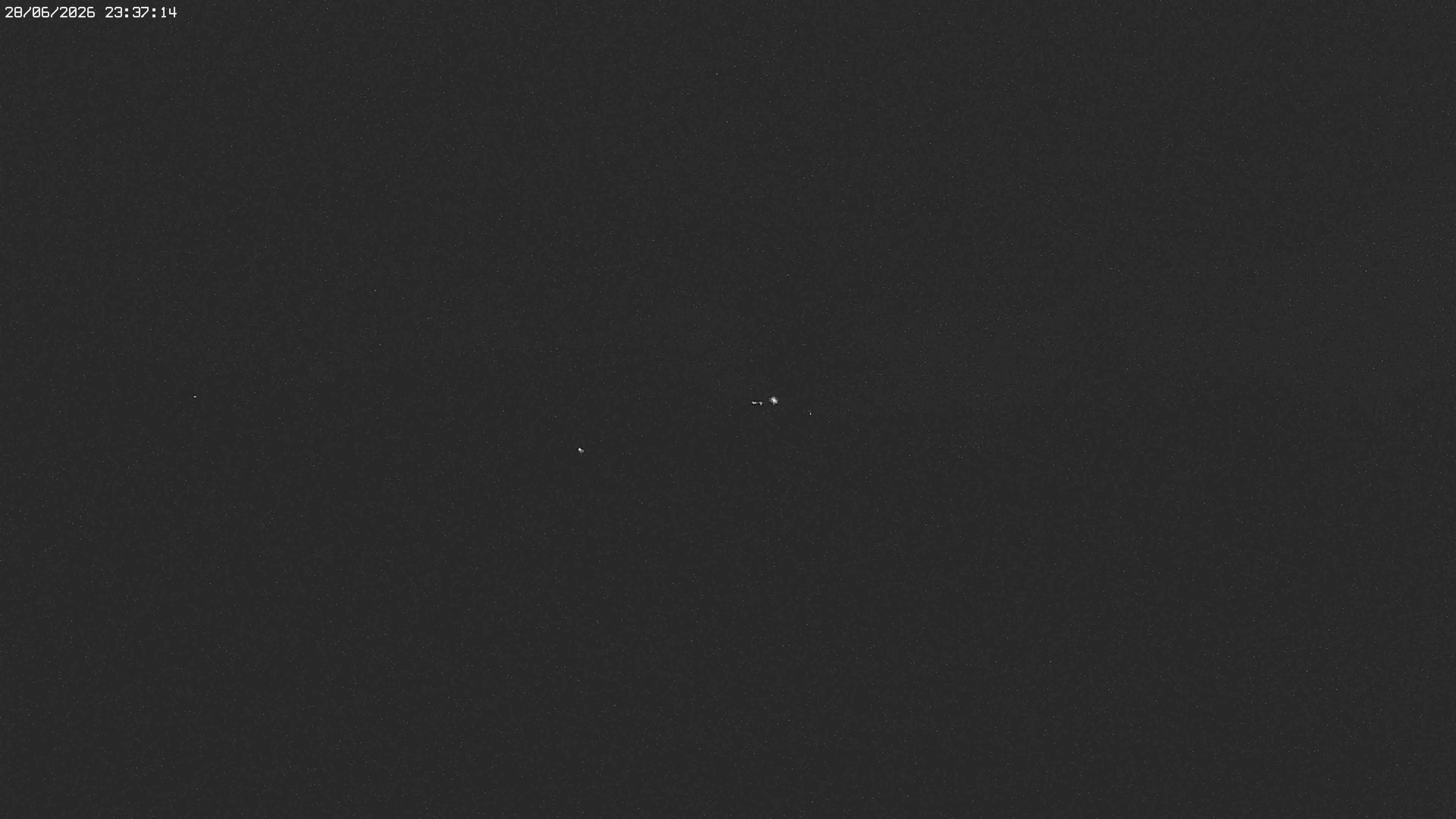 Archiv Foto Webcam Jägeralpe bei Warth