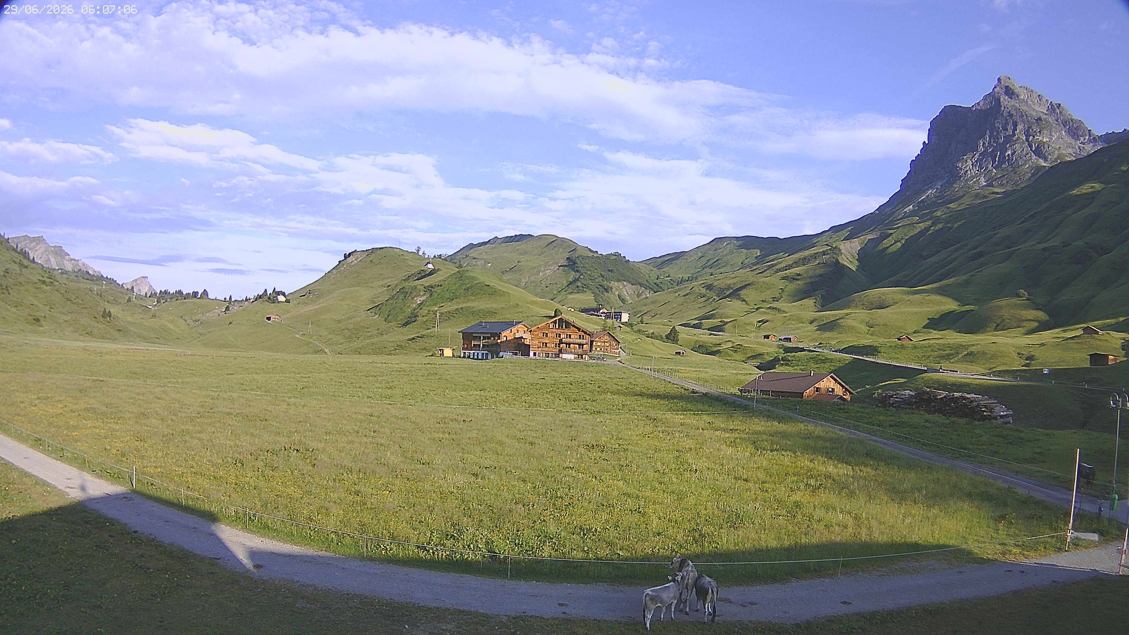 Archiv Foto Webcam Jägeralpe bei Warth