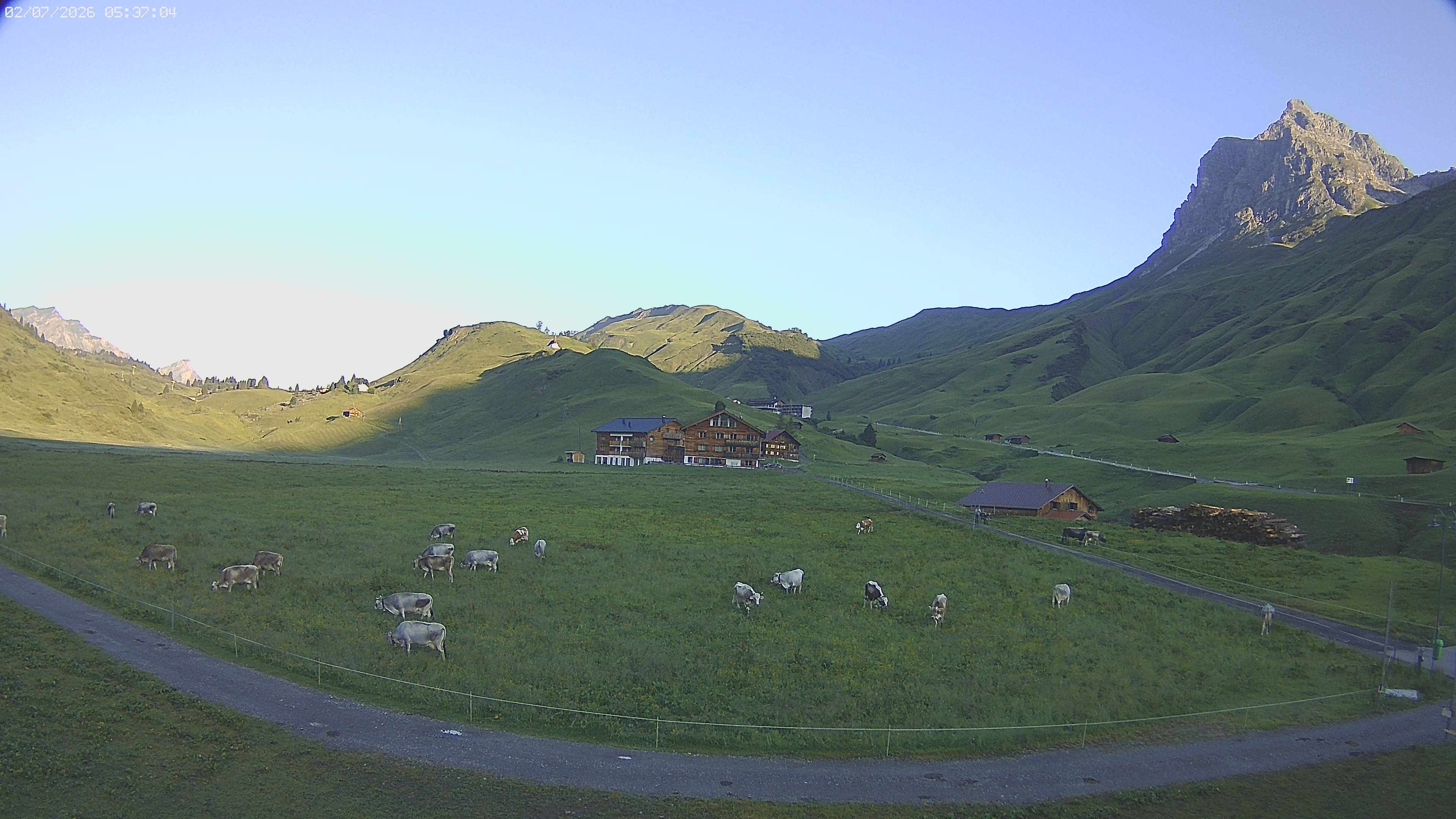 Archiv Foto Webcam Jägeralpe bei Warth