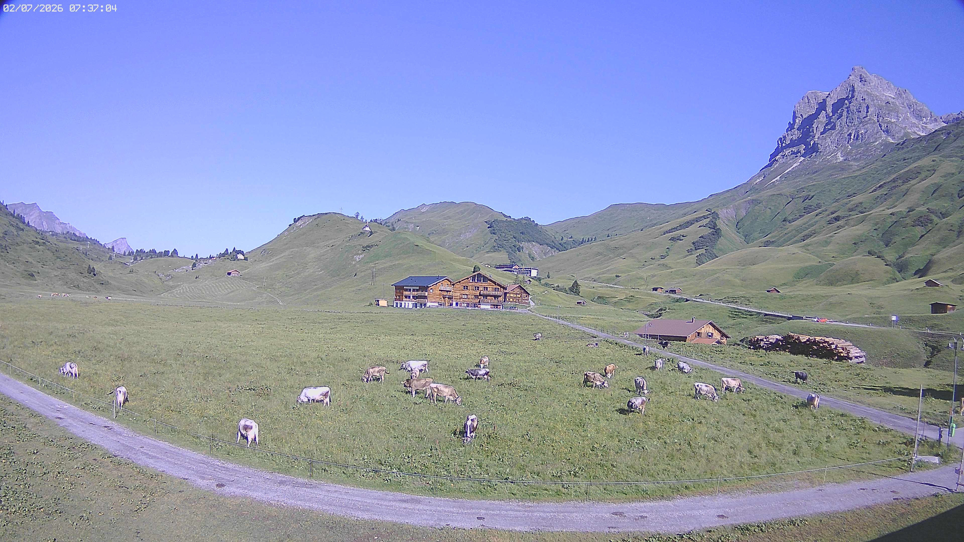 Archiv Foto Webcam Jägeralpe bei Warth
