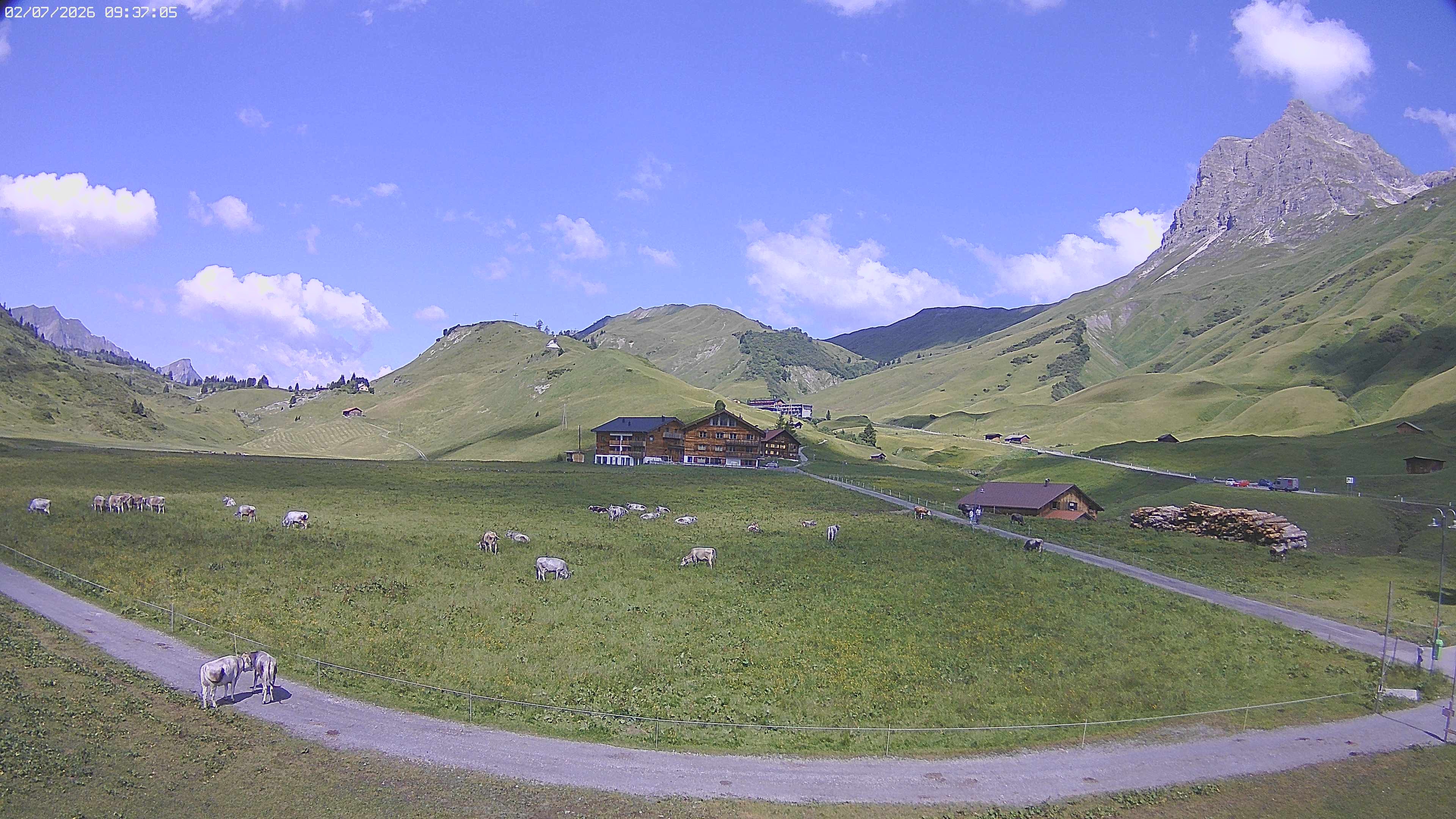 Archiv Foto Webcam Jägeralpe bei Warth