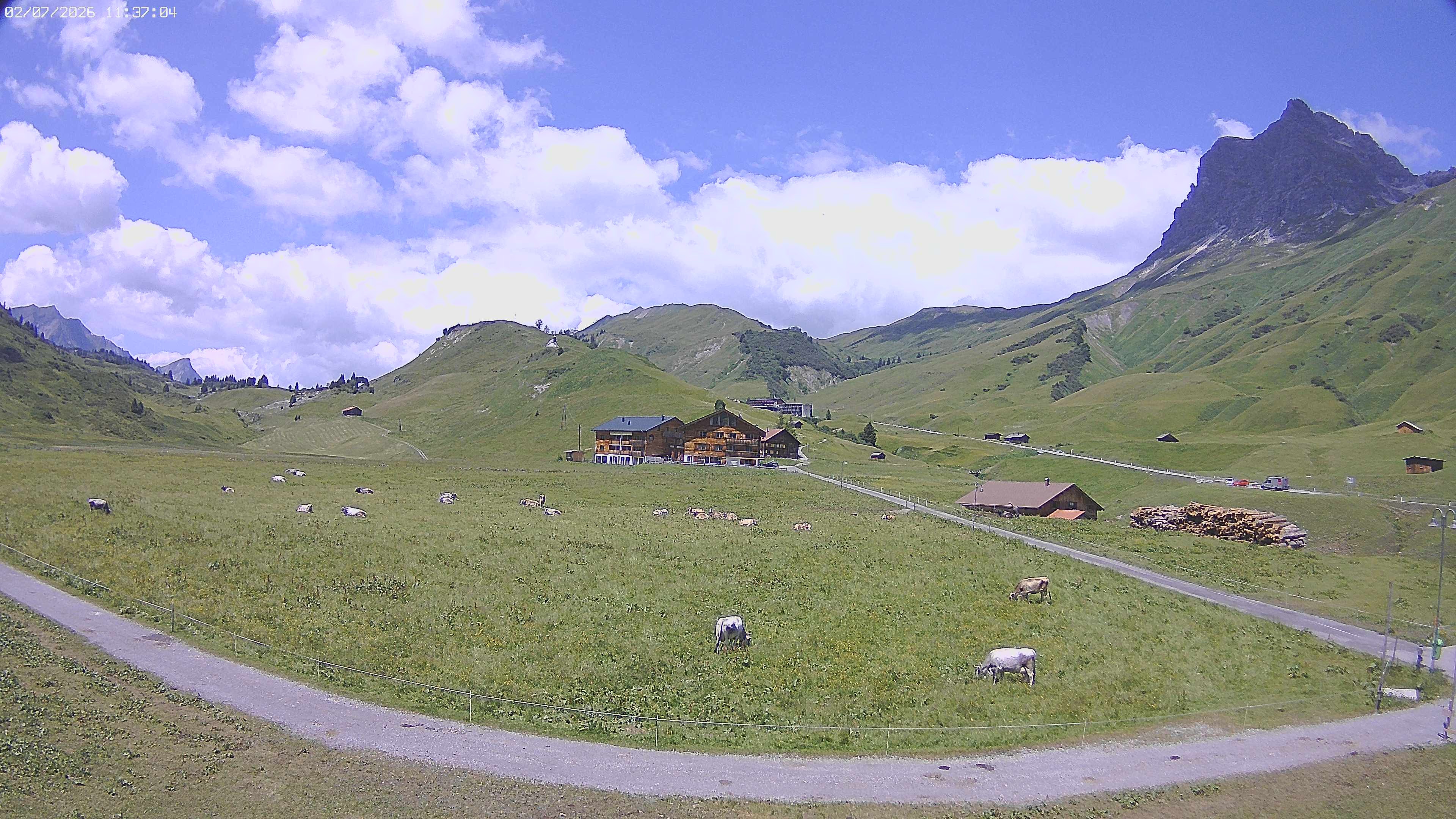 Archiv Foto Webcam Jägeralpe bei Warth