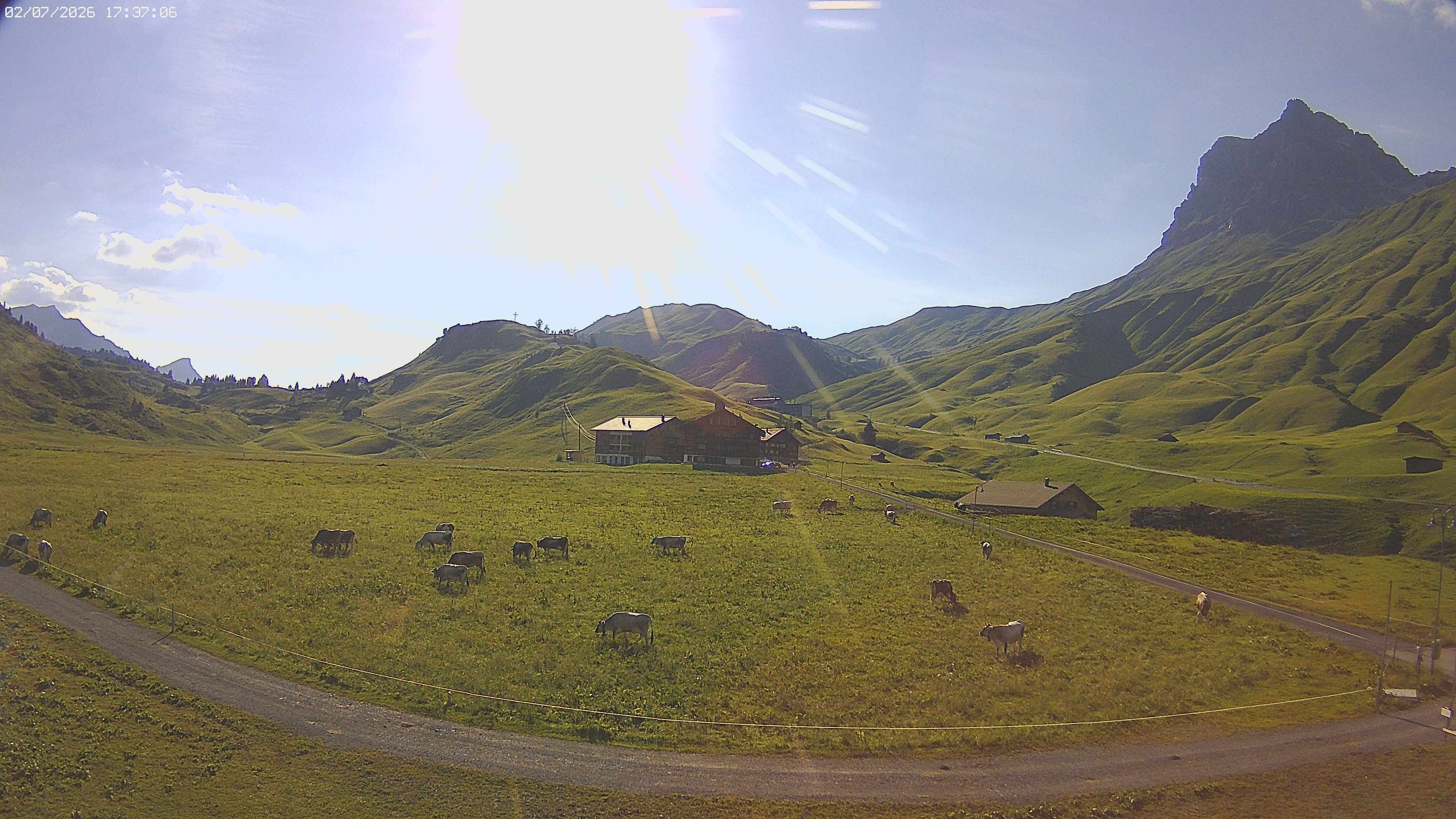 Archiv Foto Webcam Jägeralpe bei Warth