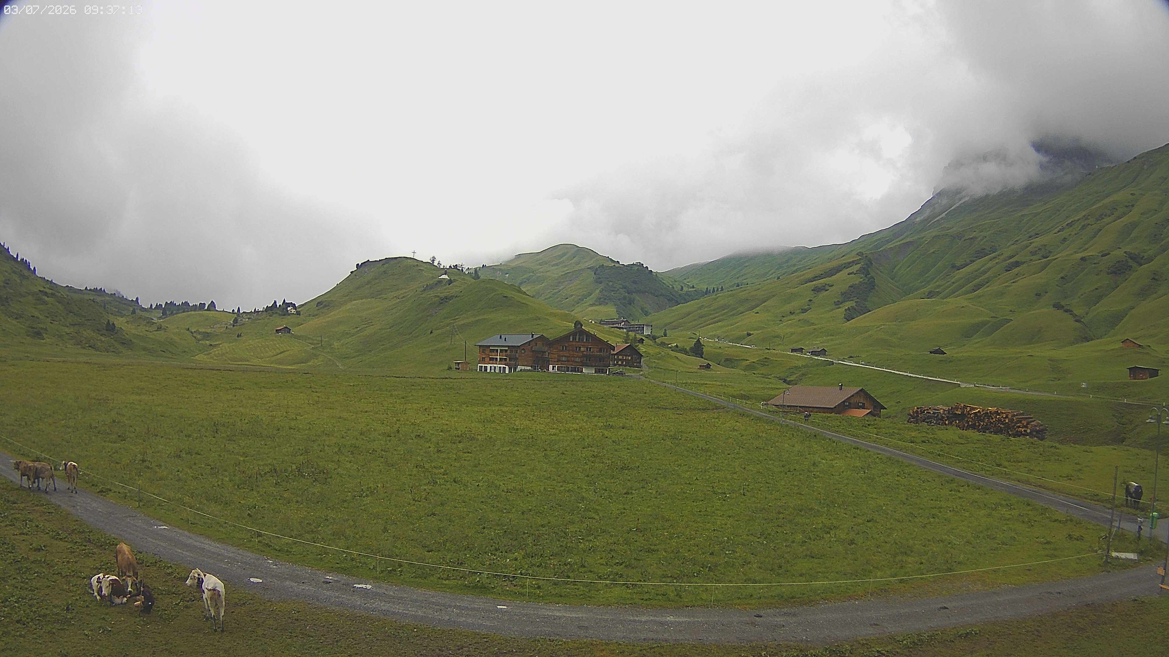 Archived image Webcam Jägeralpe near Warth