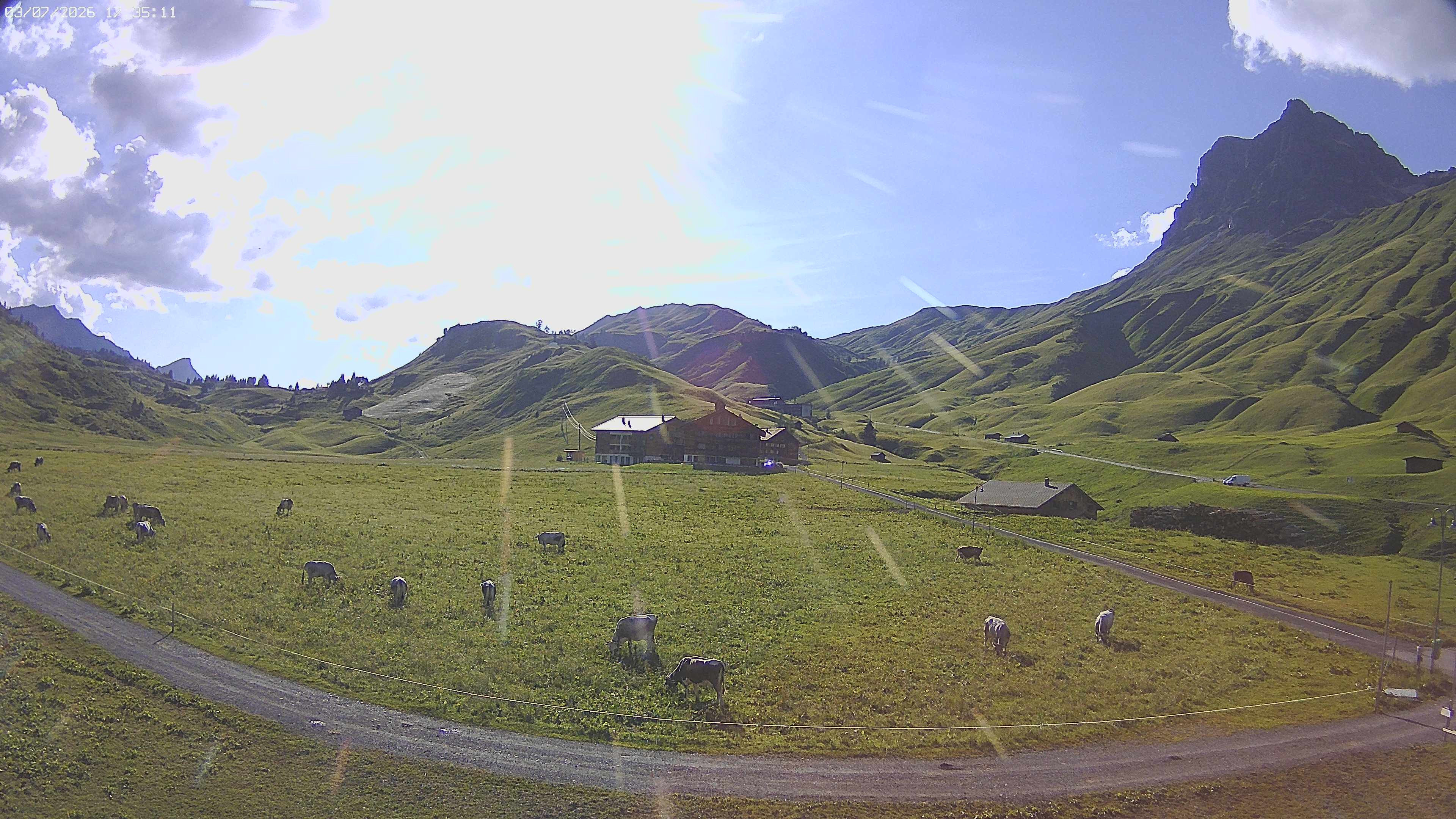 Archived image Webcam Jägeralpe near Warth