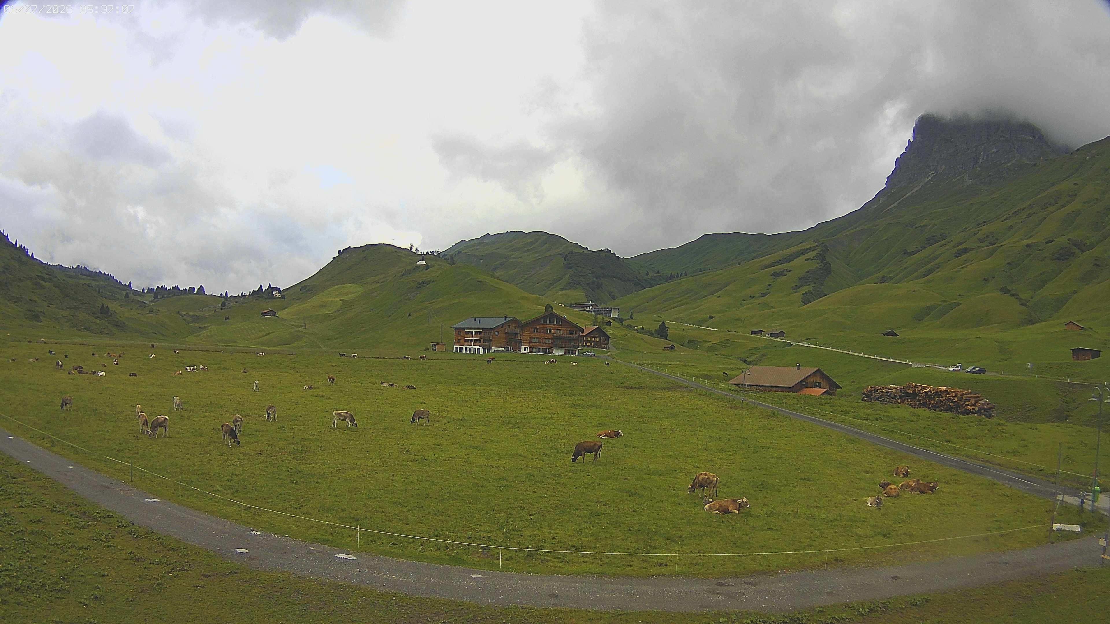 Archiv Foto Webcam Jägeralpe bei Warth