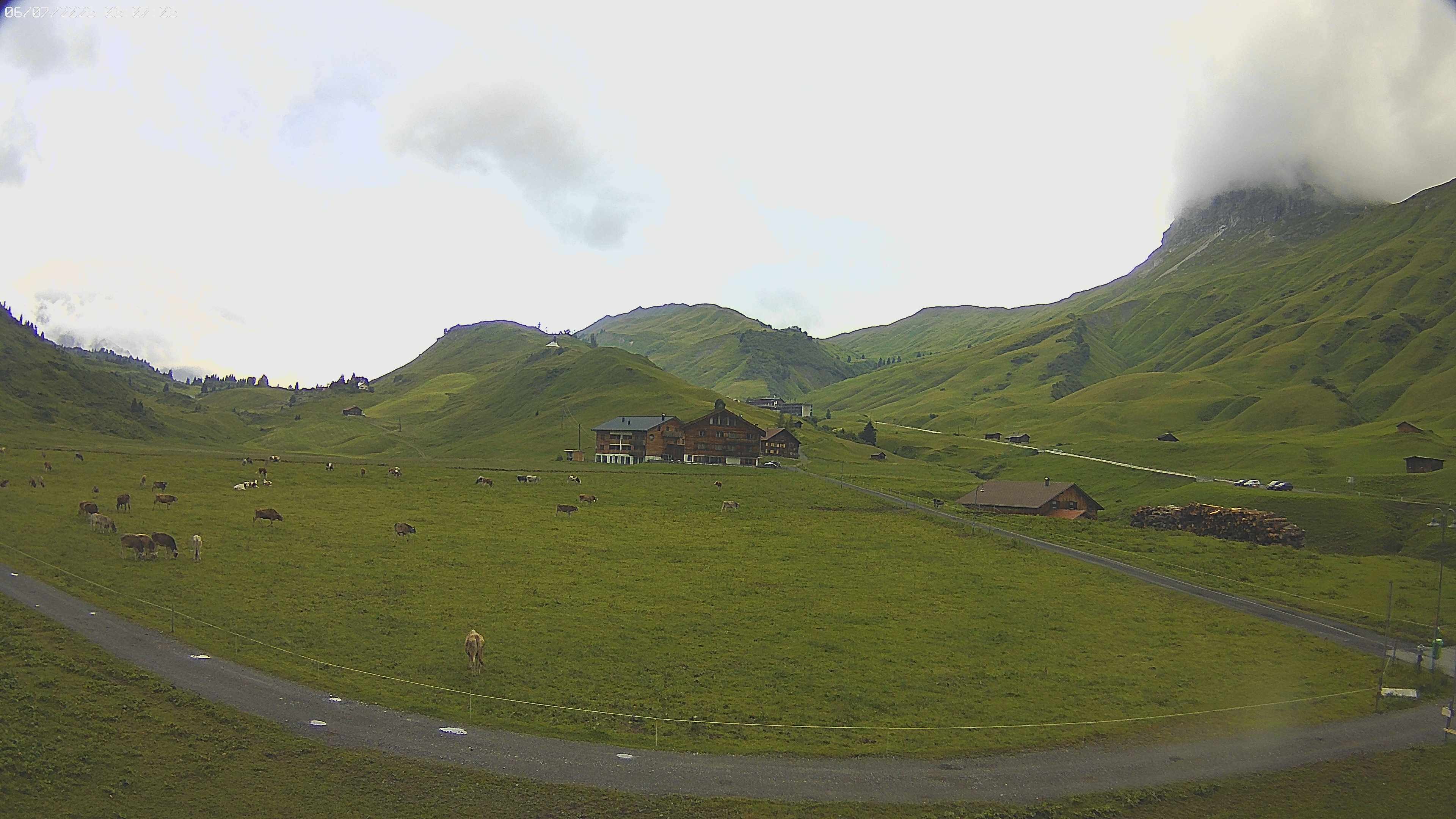 Archiv Foto Webcam Jägeralpe bei Warth