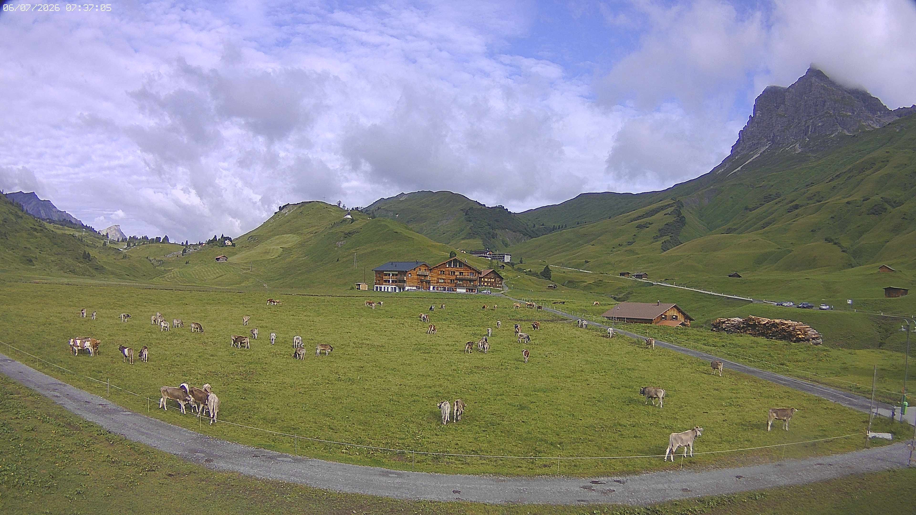 Archiv Foto Webcam Jägeralpe bei Warth