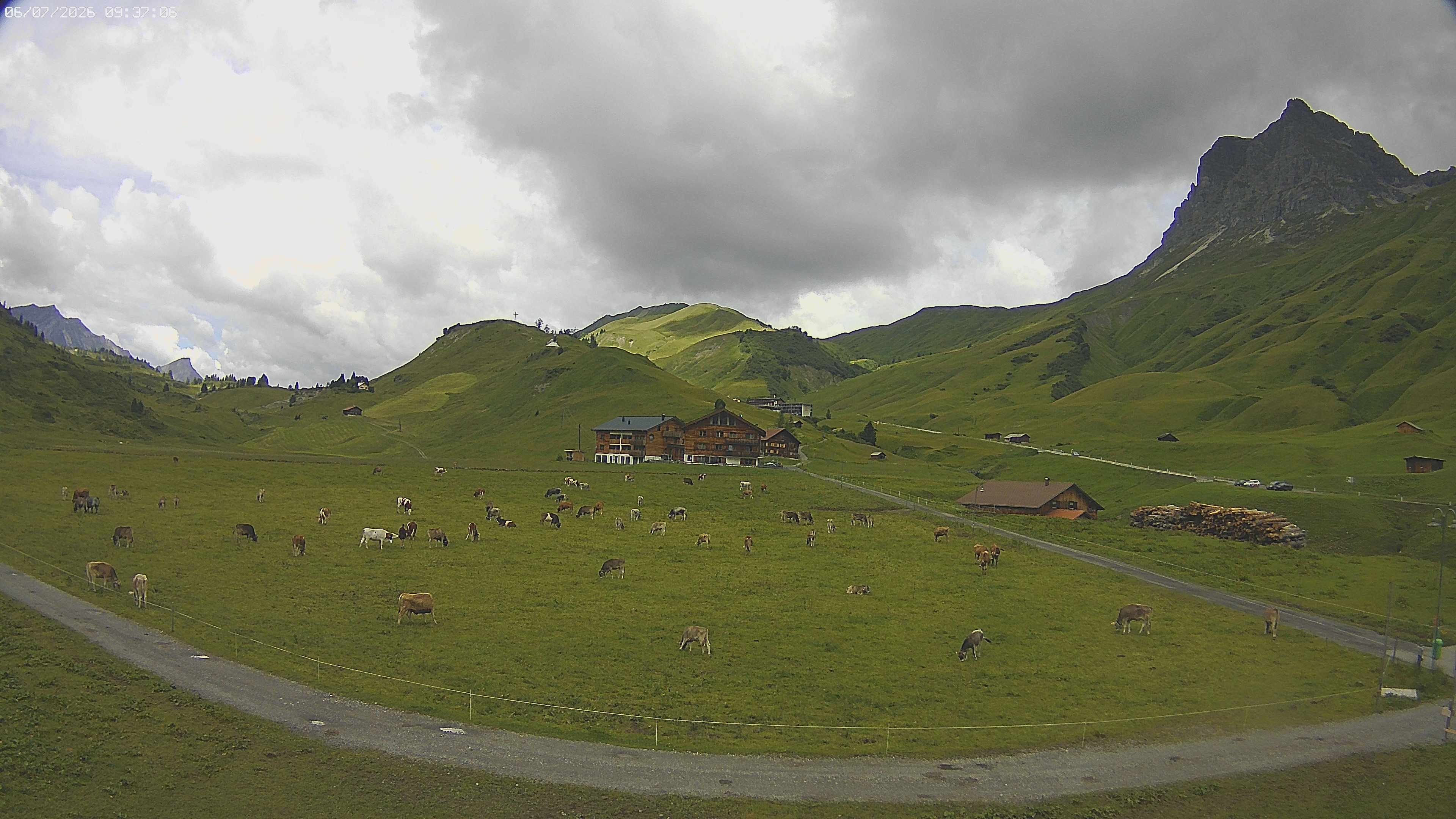 Archiv Foto Webcam Jägeralpe bei Warth