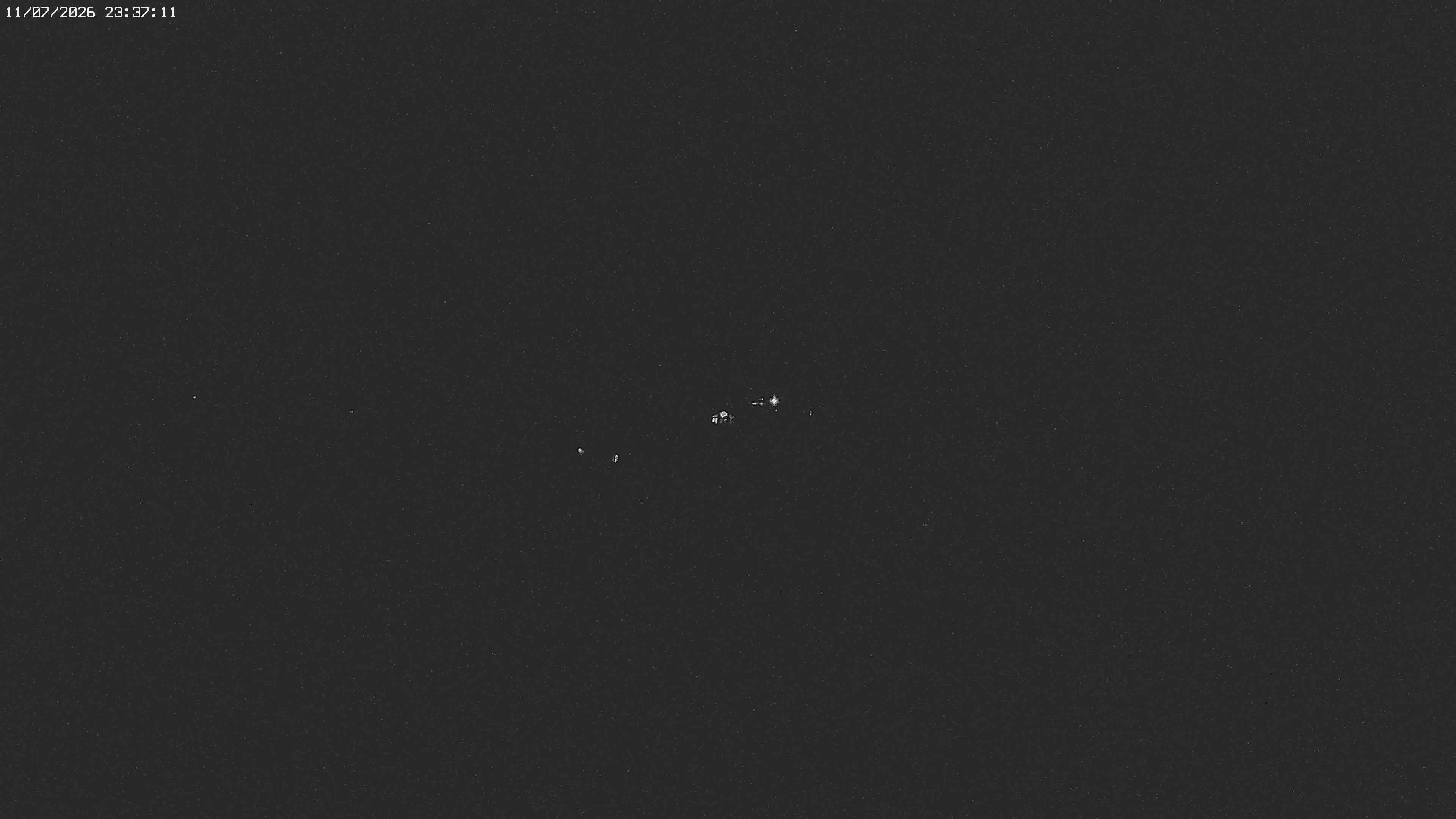 Archived image Webcam Jägeralpe near Warth