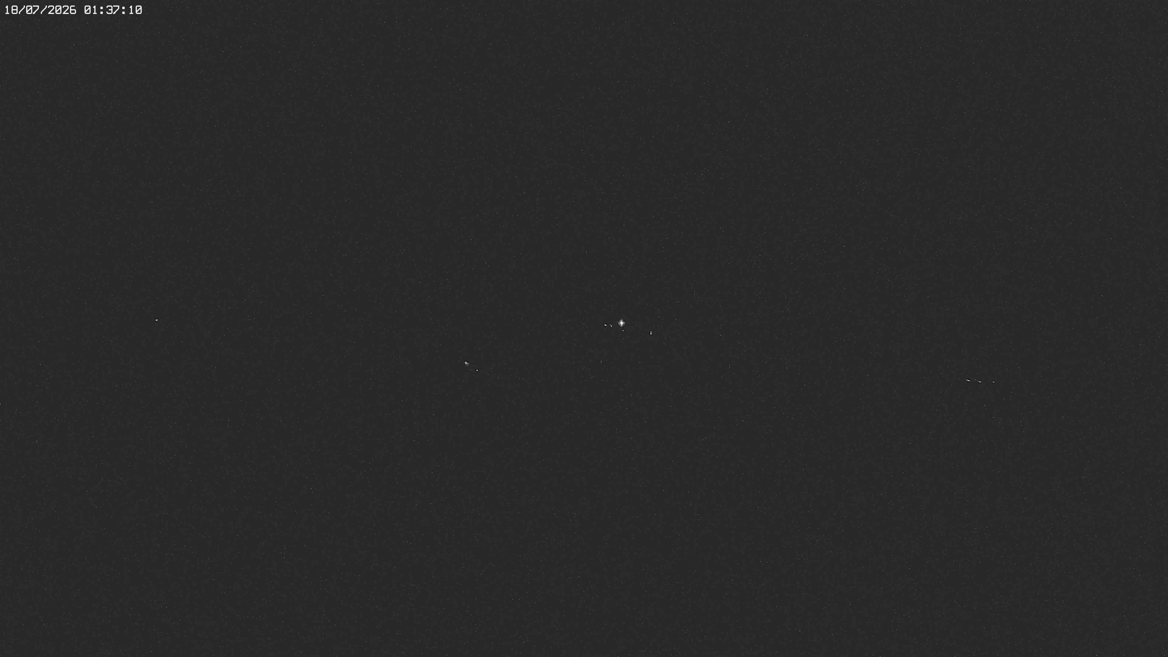 Archived image Webcam Jägeralpe near Warth