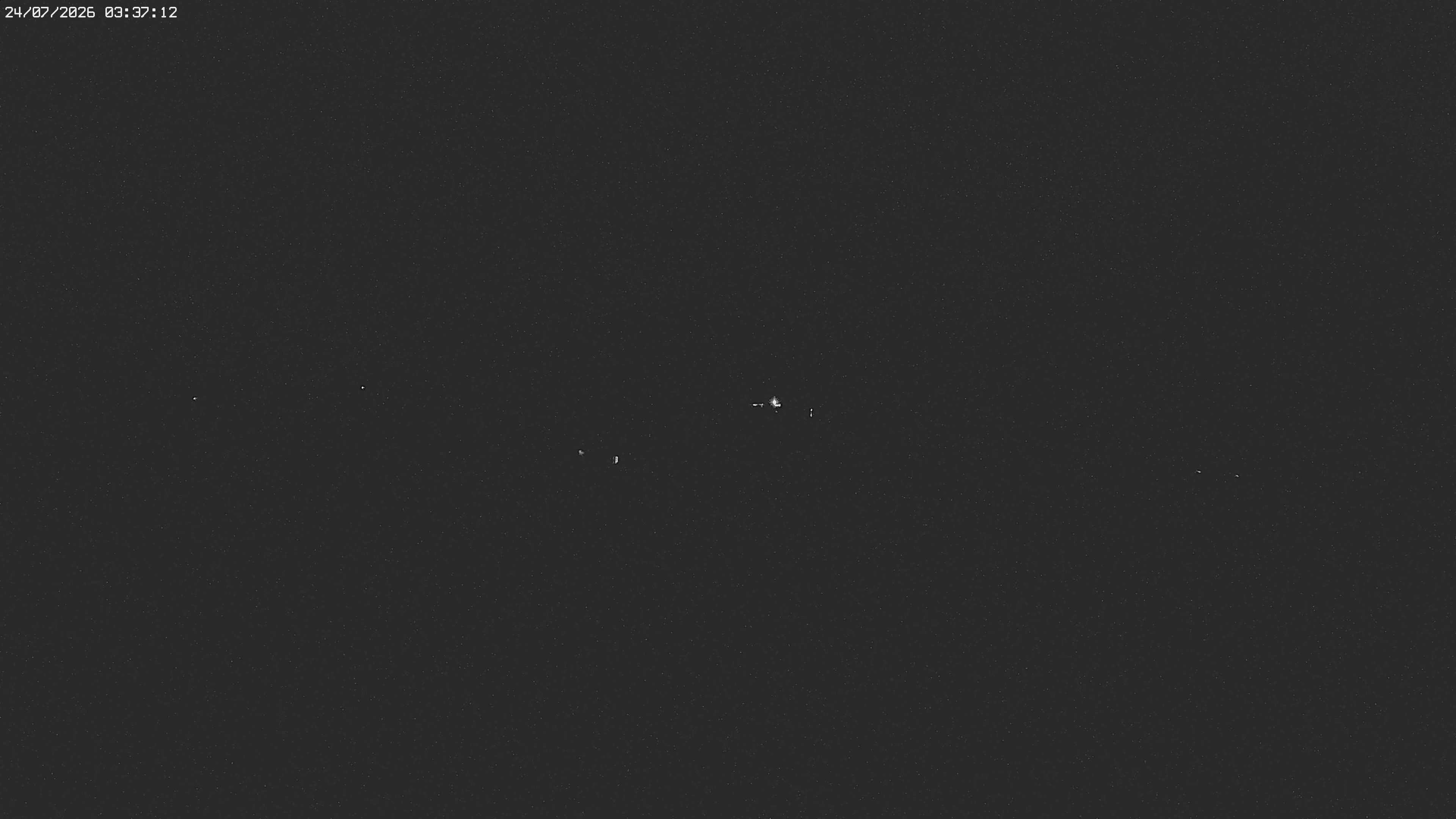 Archiv Foto Webcam Jägeralpe bei Warth