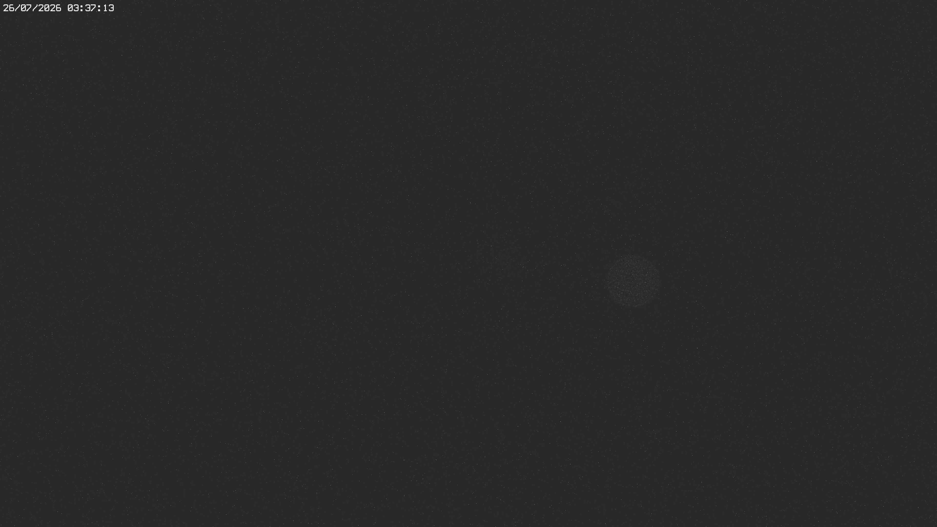 Archiv Foto Webcam Jägeralpe bei Warth
