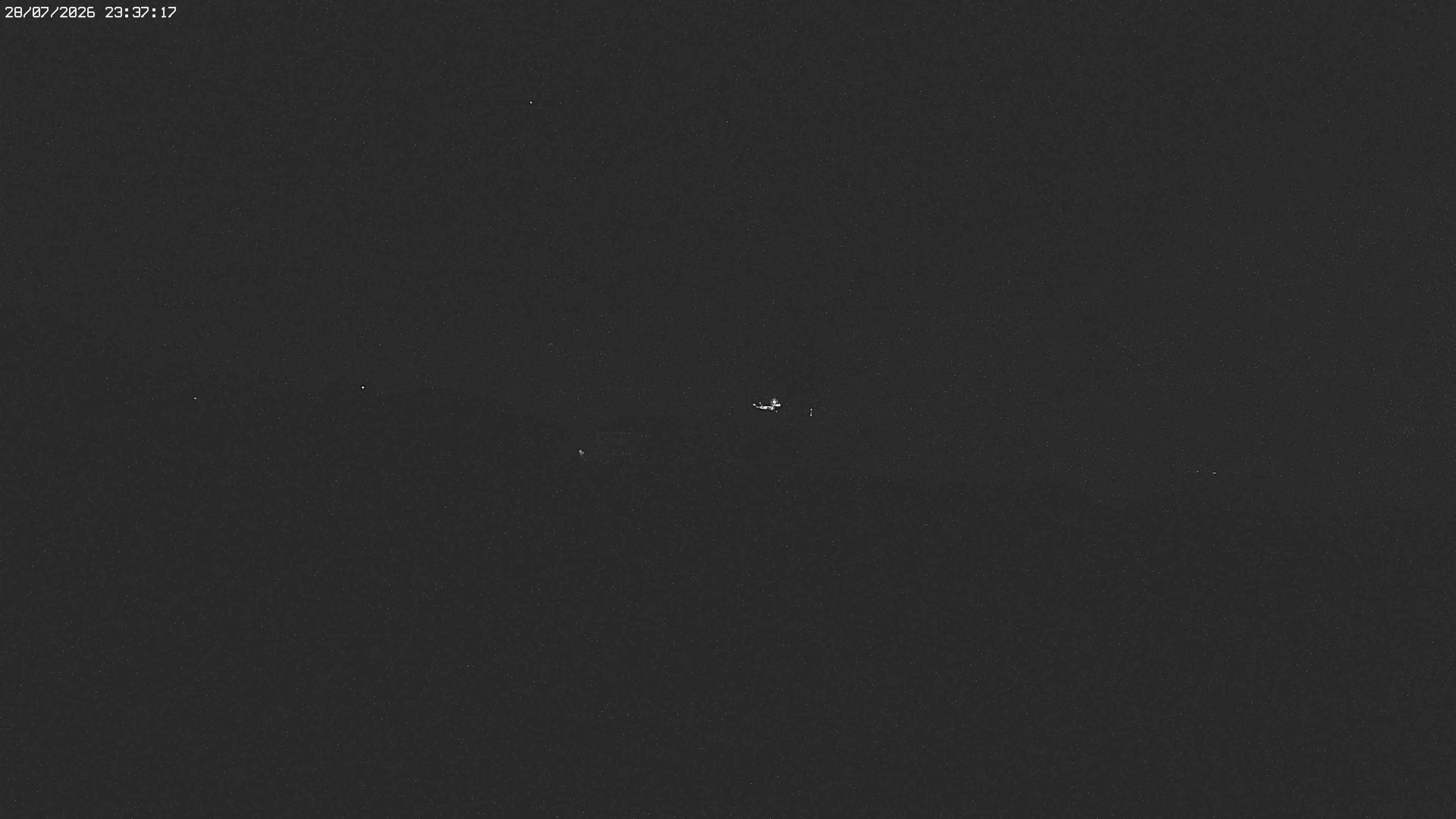 Archived image Webcam Jägeralpe near Warth