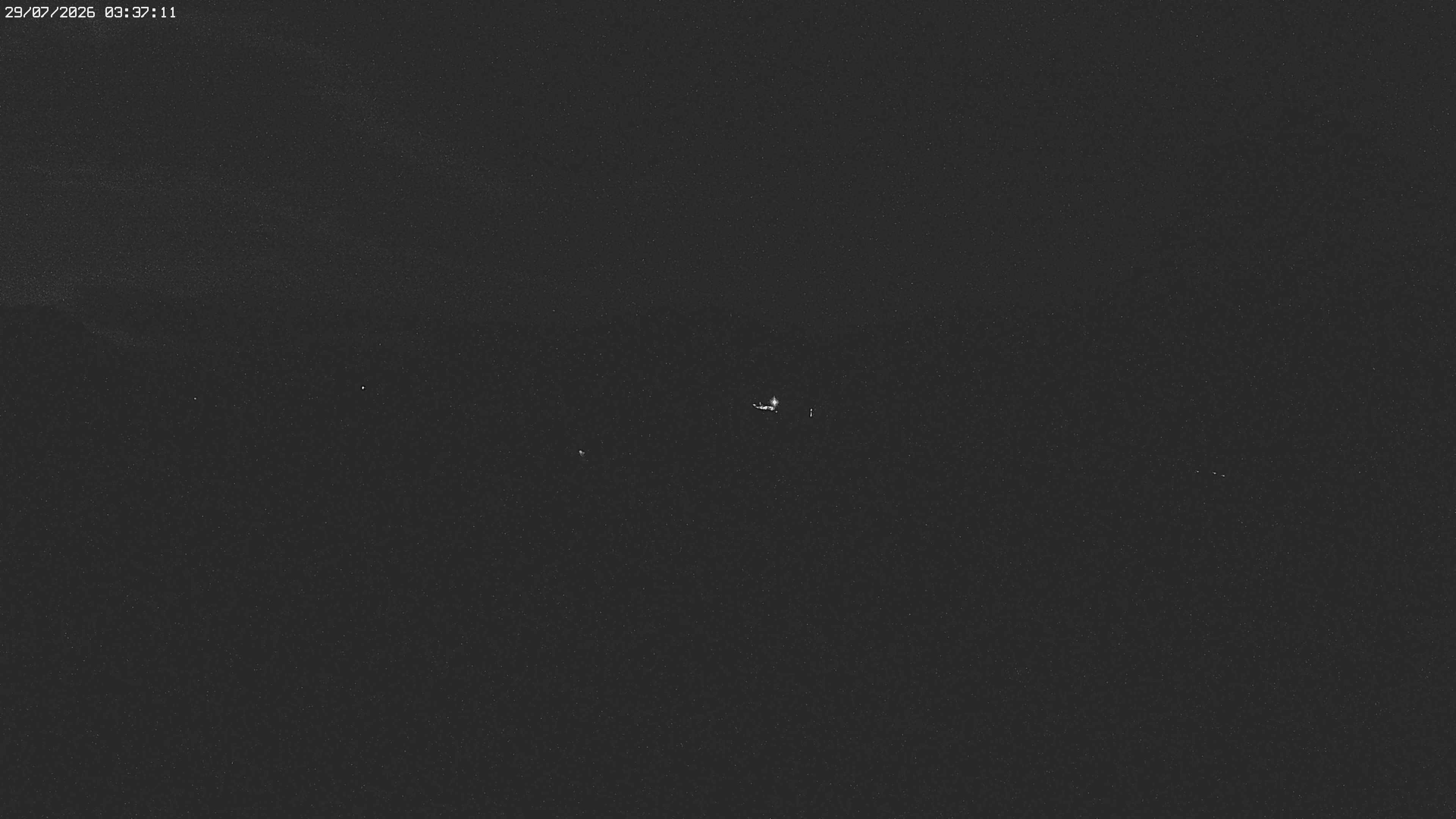 Archiv Foto Webcam Jägeralpe bei Warth