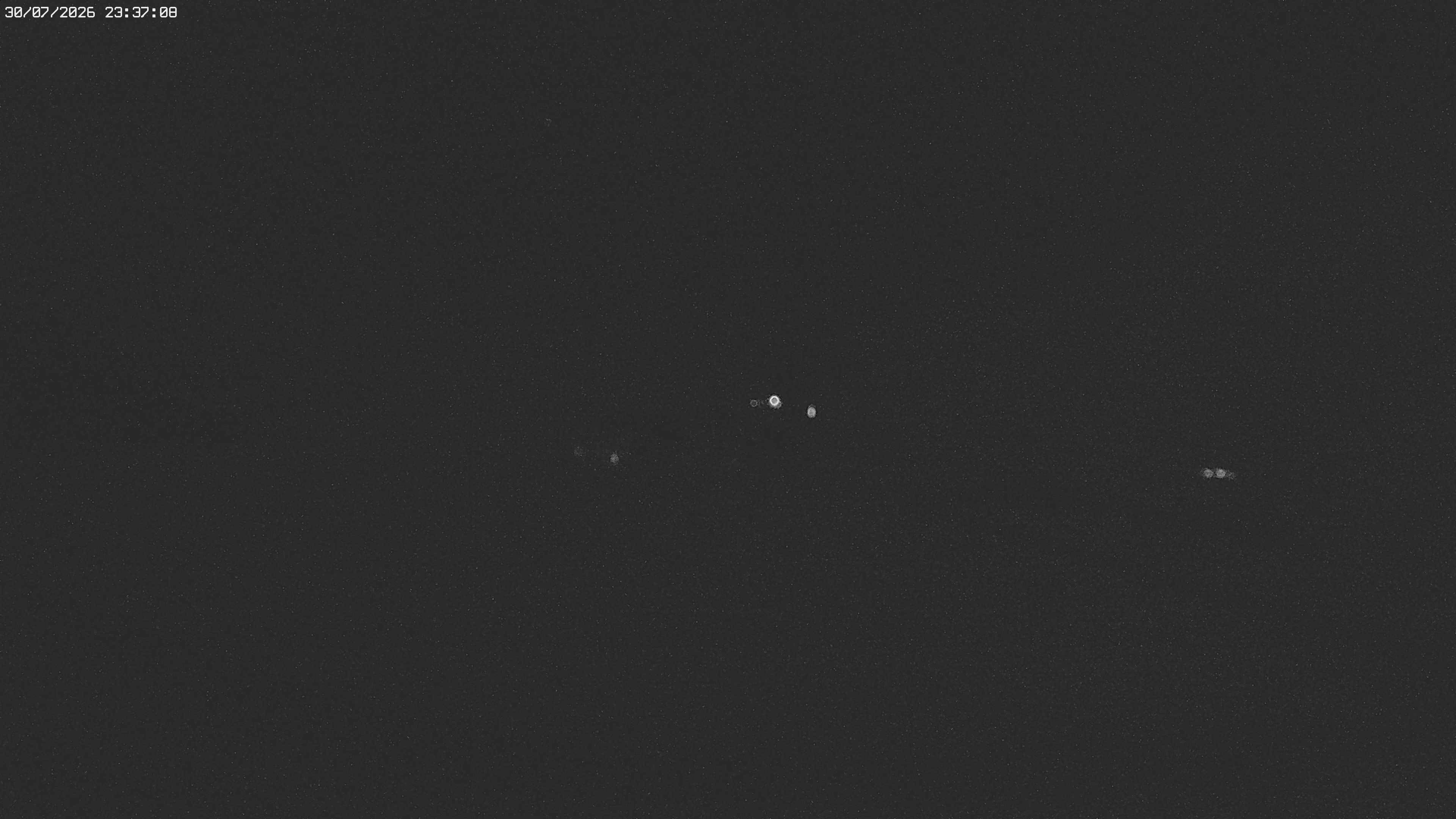 Archiv Foto Webcam Jägeralpe bei Warth