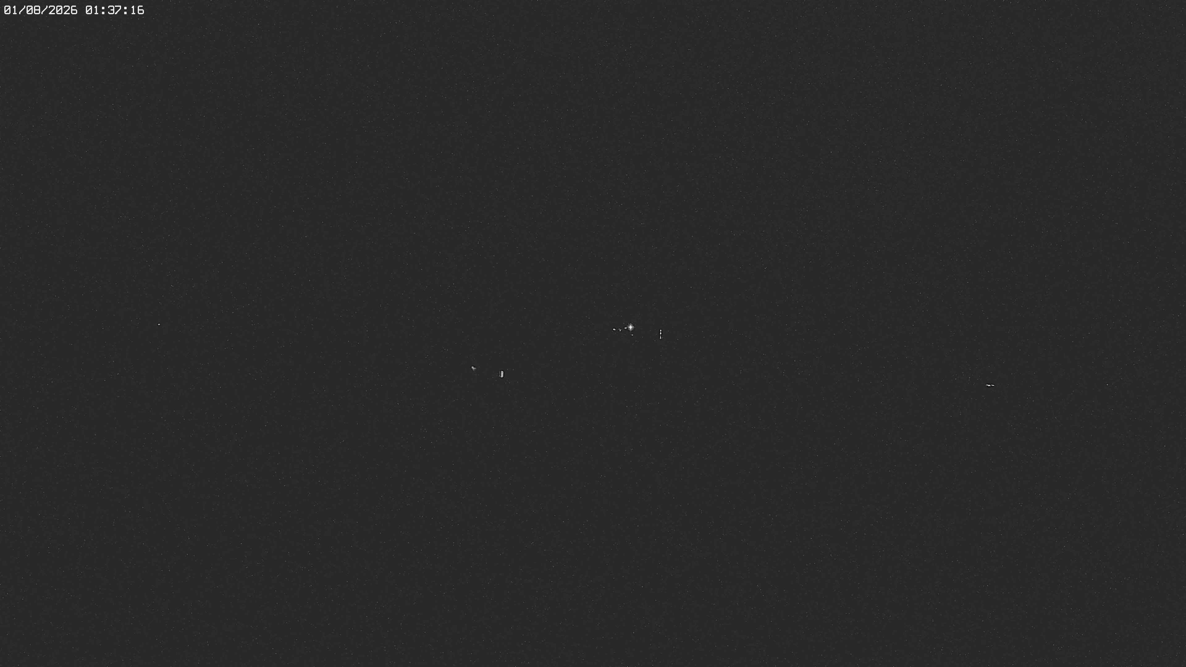 Archiv Foto Webcam Jägeralpe bei Warth