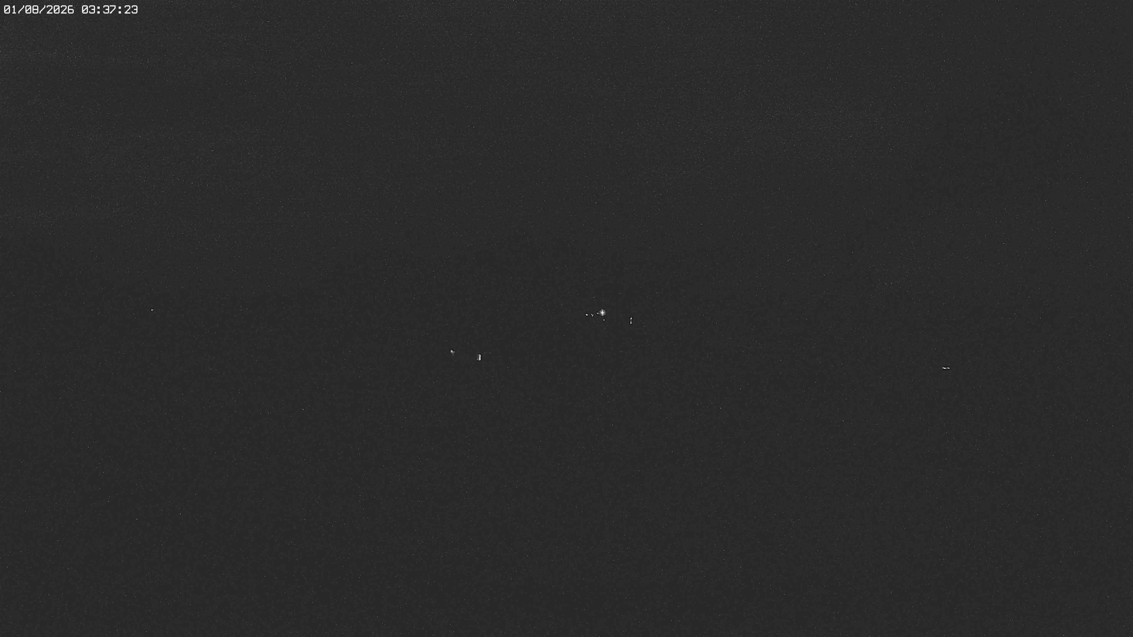 Archiv Foto Webcam Jägeralpe bei Warth