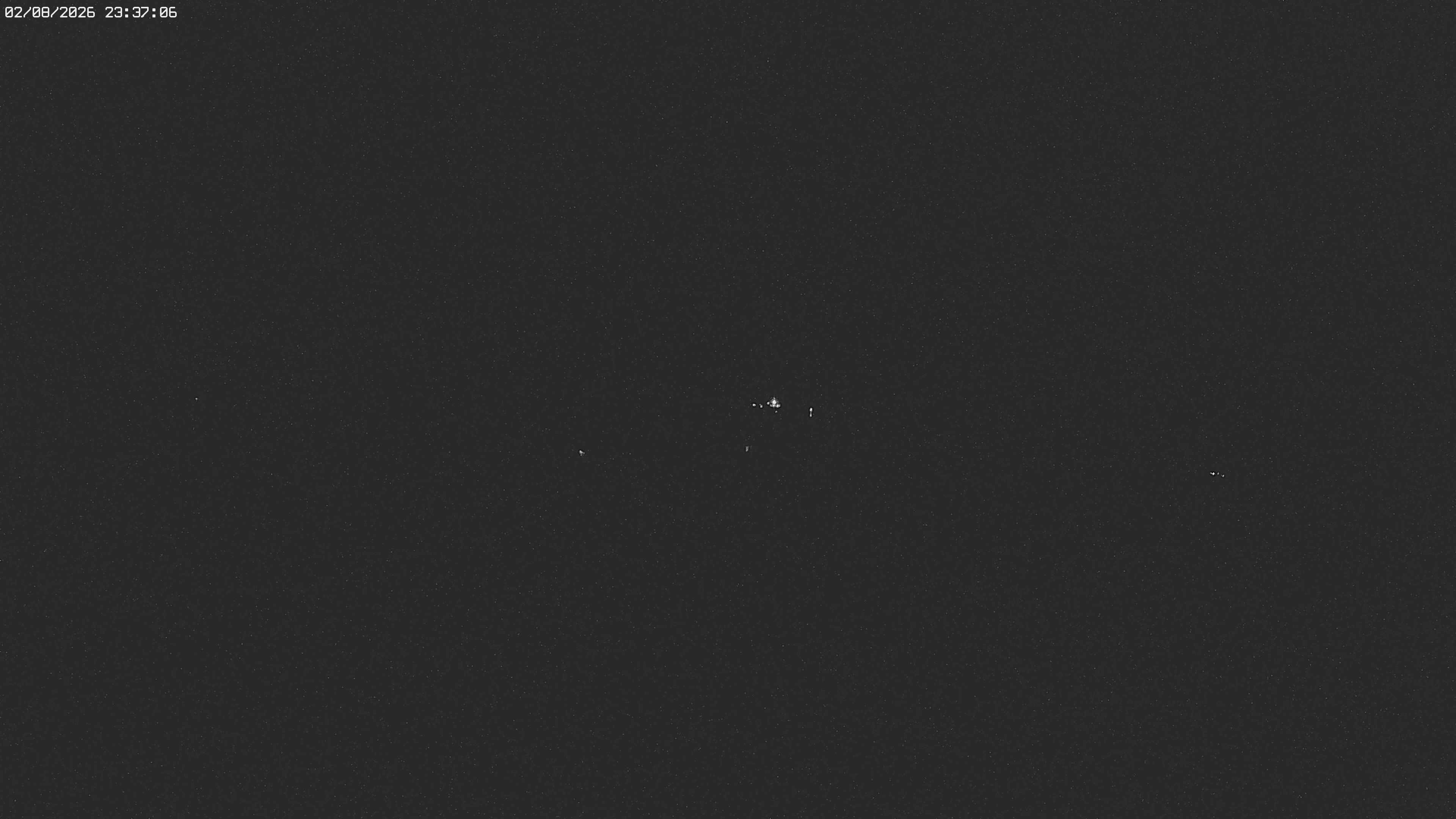 Archived image Webcam Jägeralpe near Warth