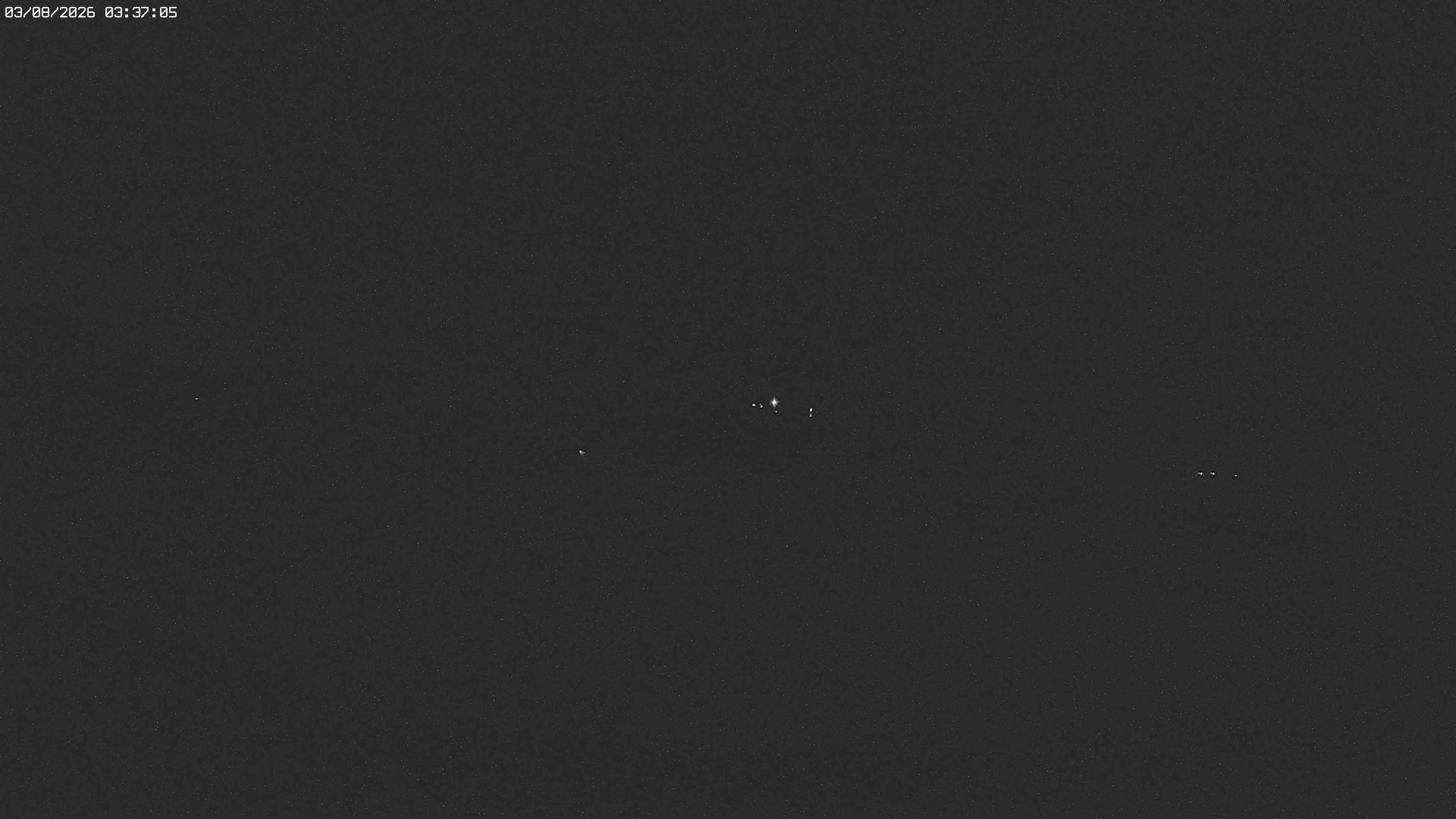 Archived image Webcam Jägeralpe near Warth