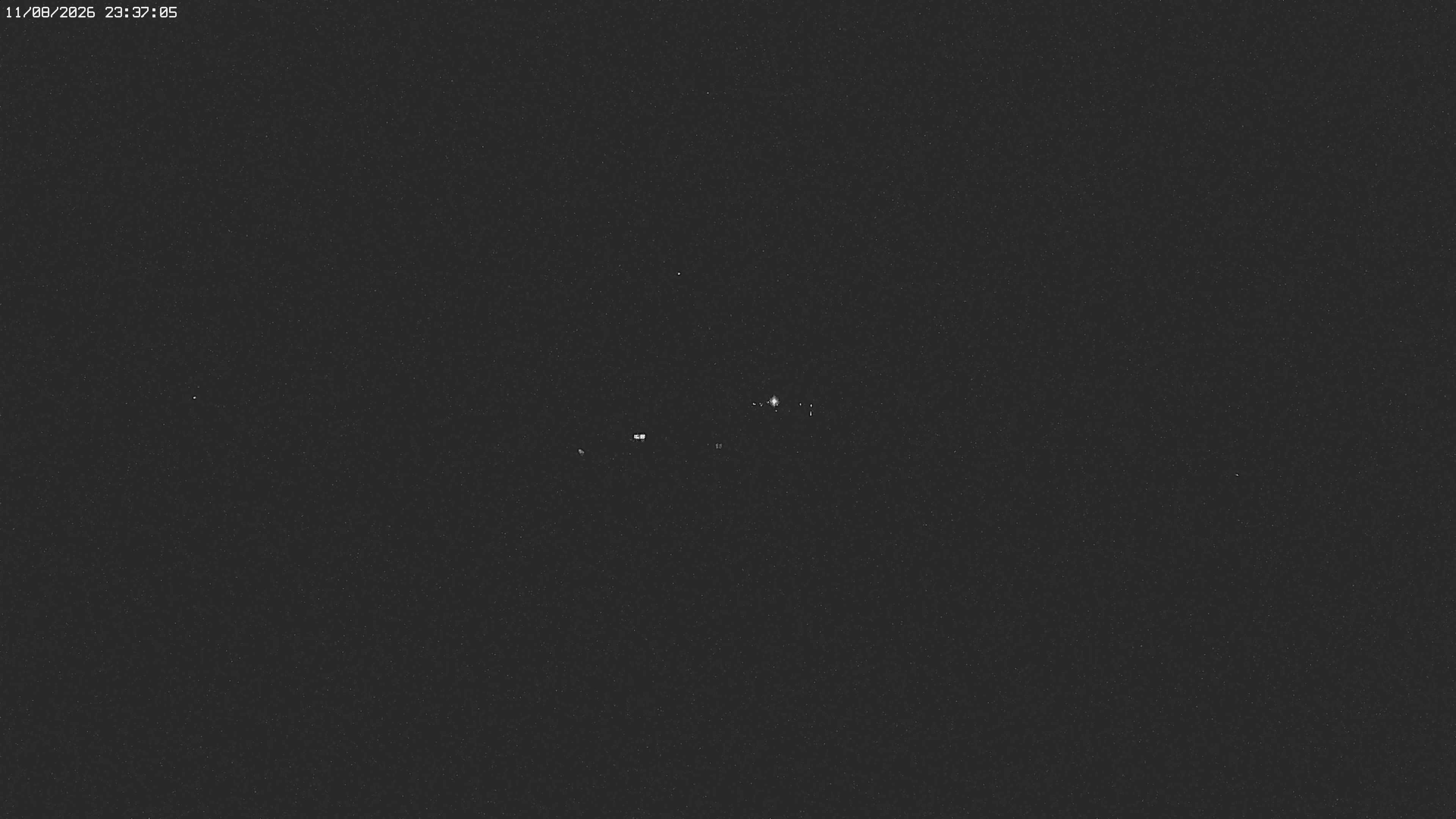 Archived image Webcam Jägeralpe near Warth