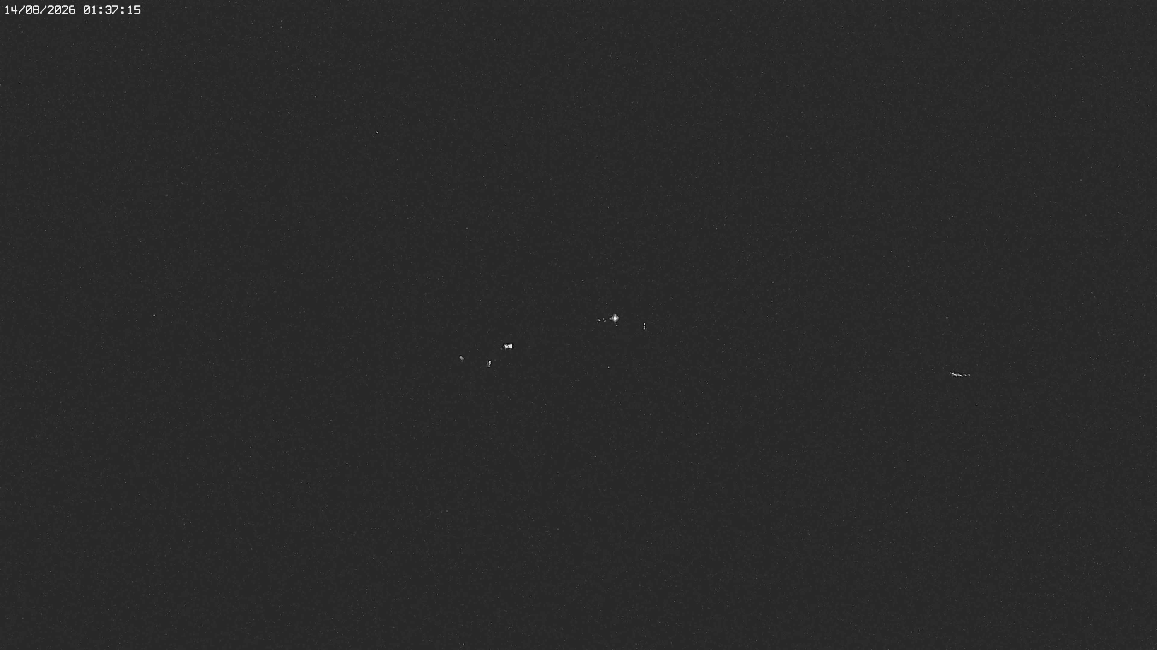 Archived image Webcam Jägeralpe near Warth