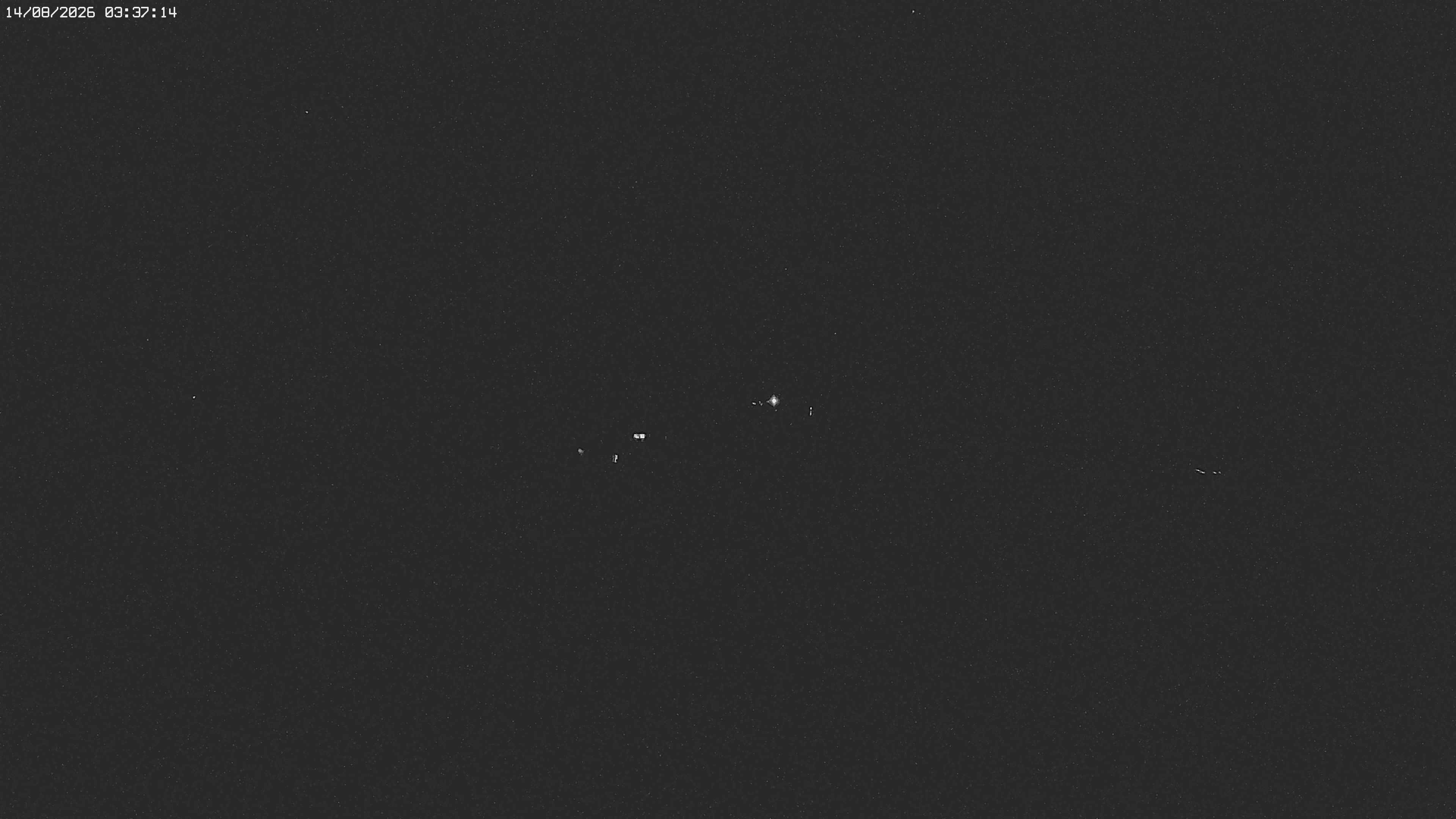 Archived image Webcam Jägeralpe near Warth