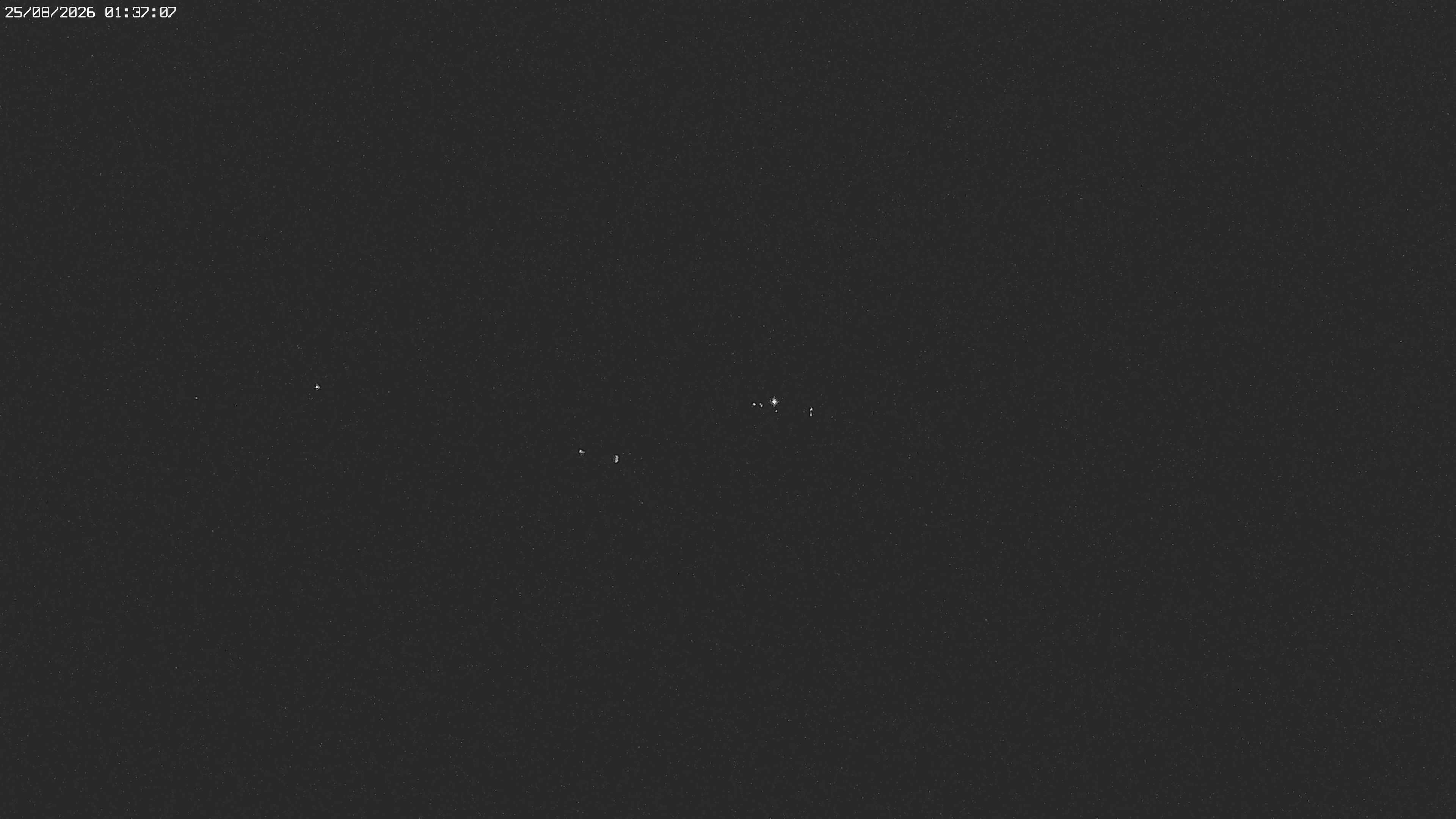 Archiv Foto Webcam Jägeralpe bei Warth
