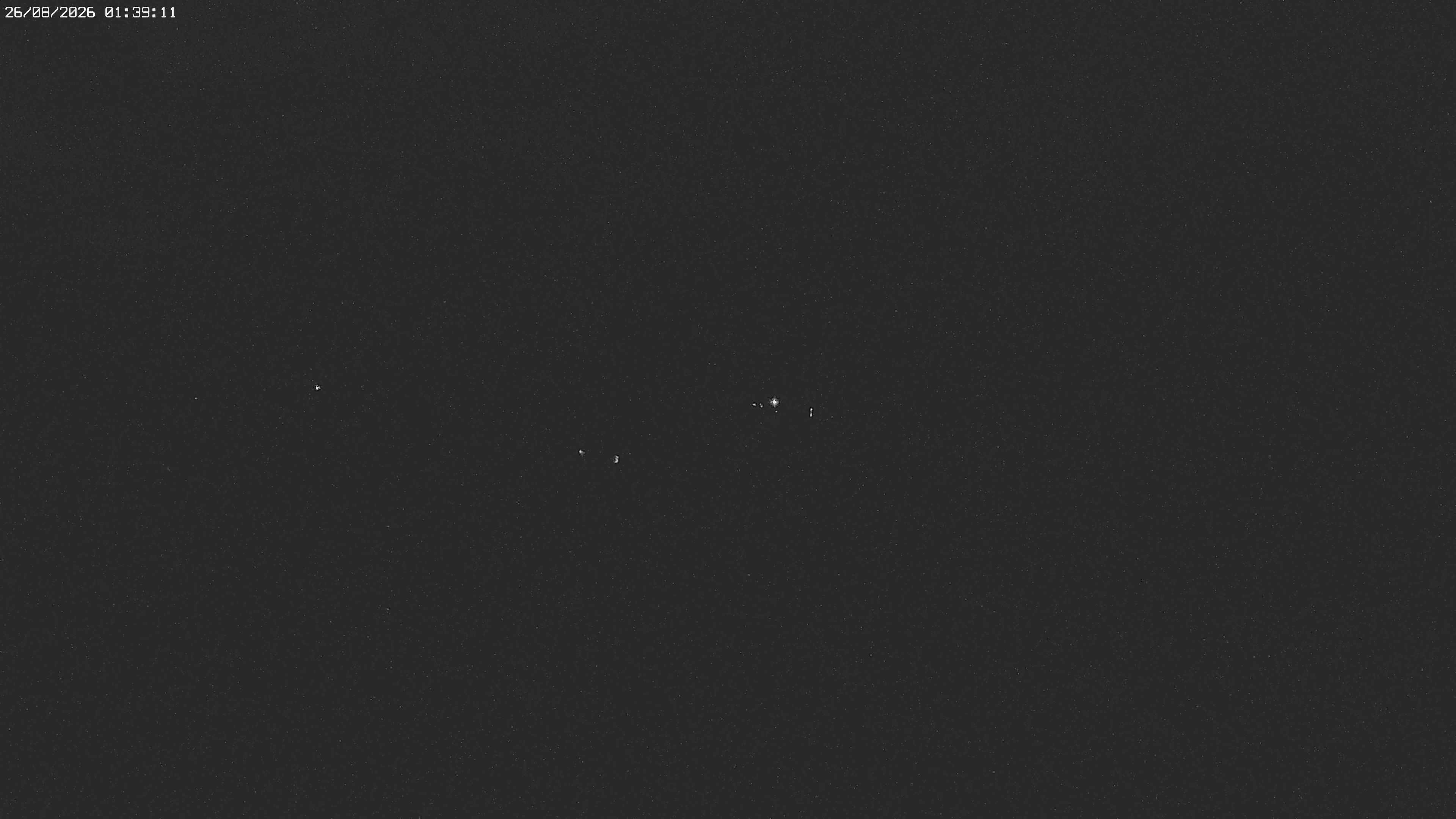 Archiv Foto Webcam Jägeralpe bei Warth