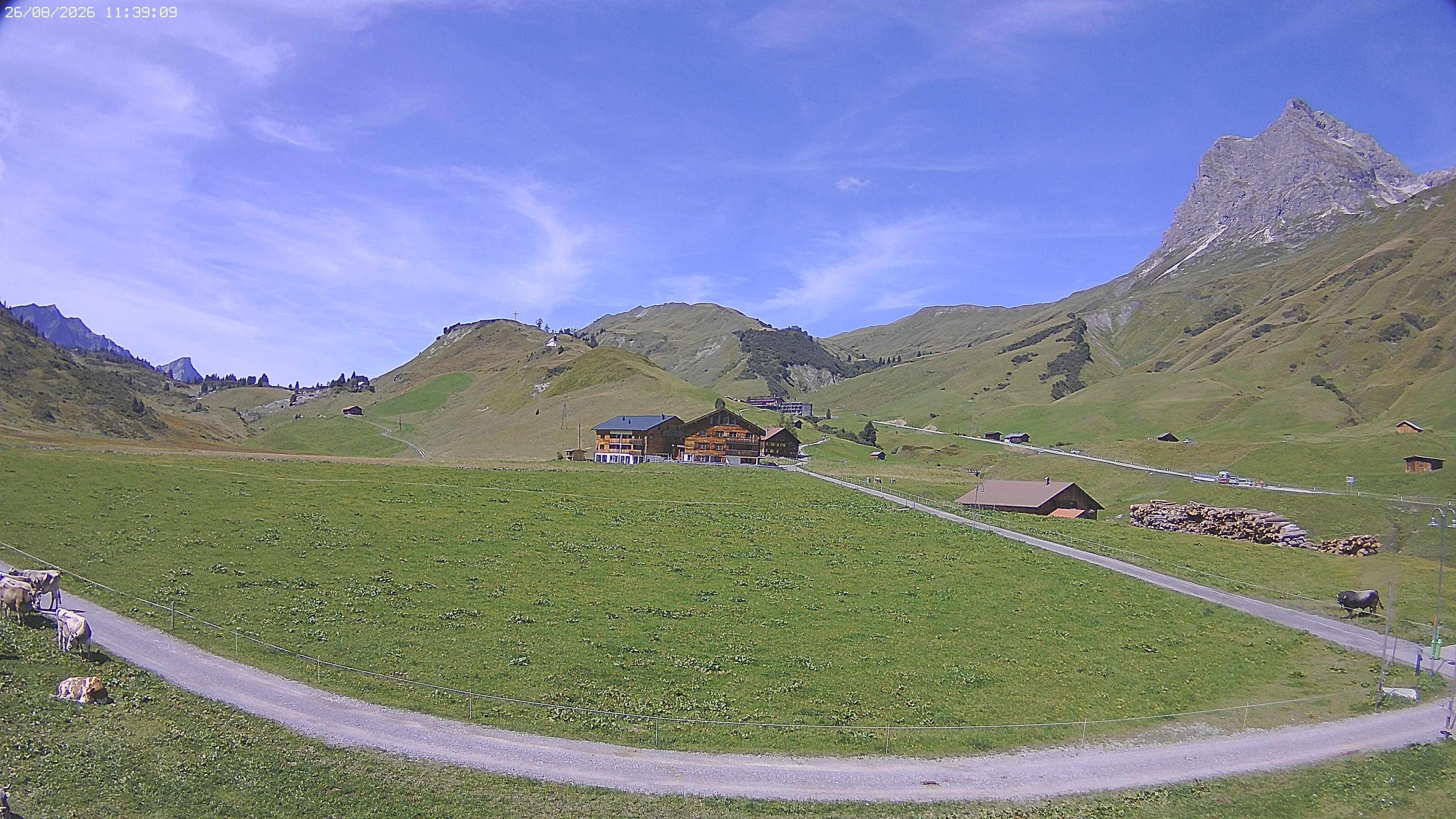 Archiv Foto Webcam Jägeralpe bei Warth