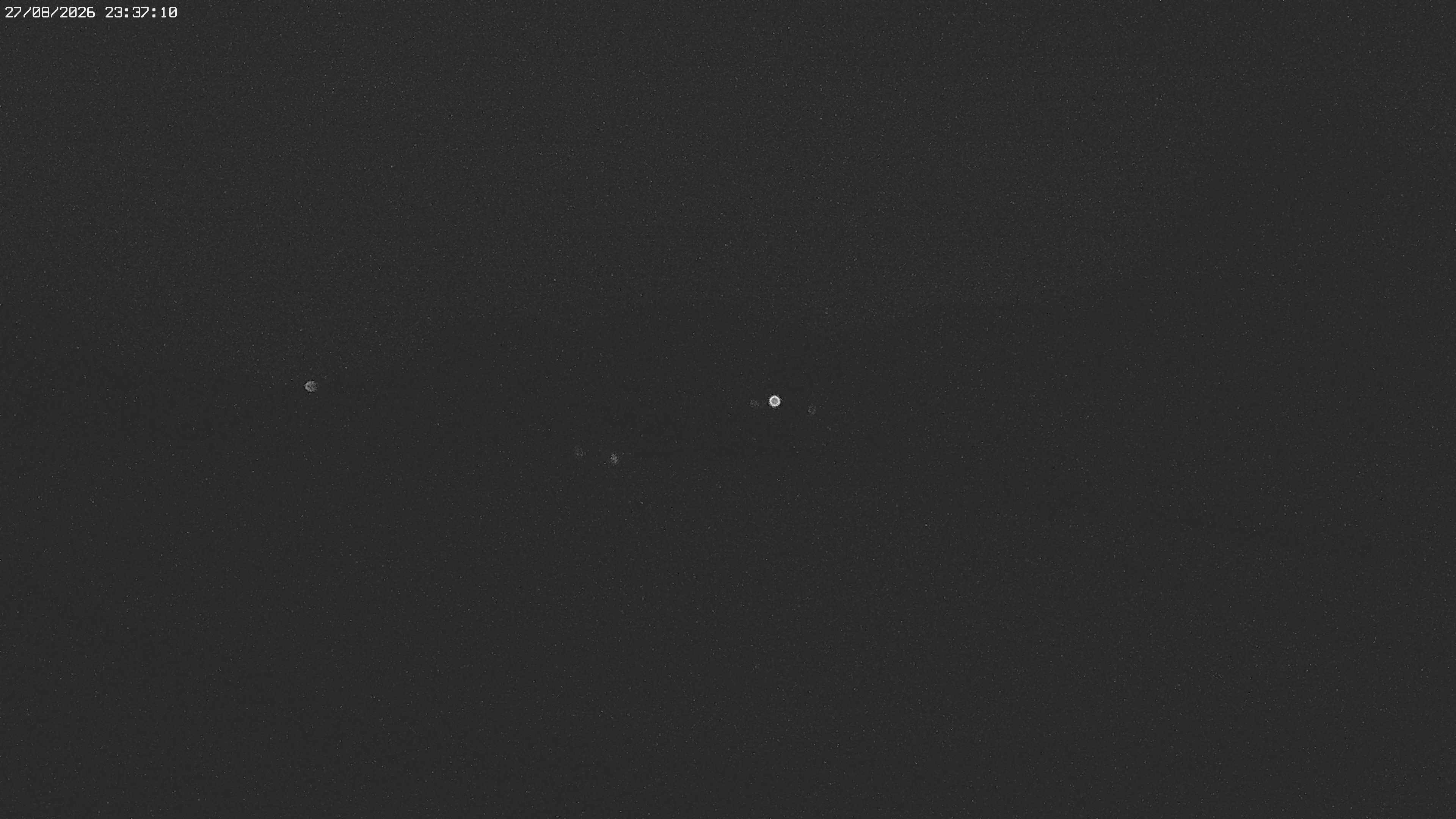 Archiv Foto Webcam Jägeralpe bei Warth