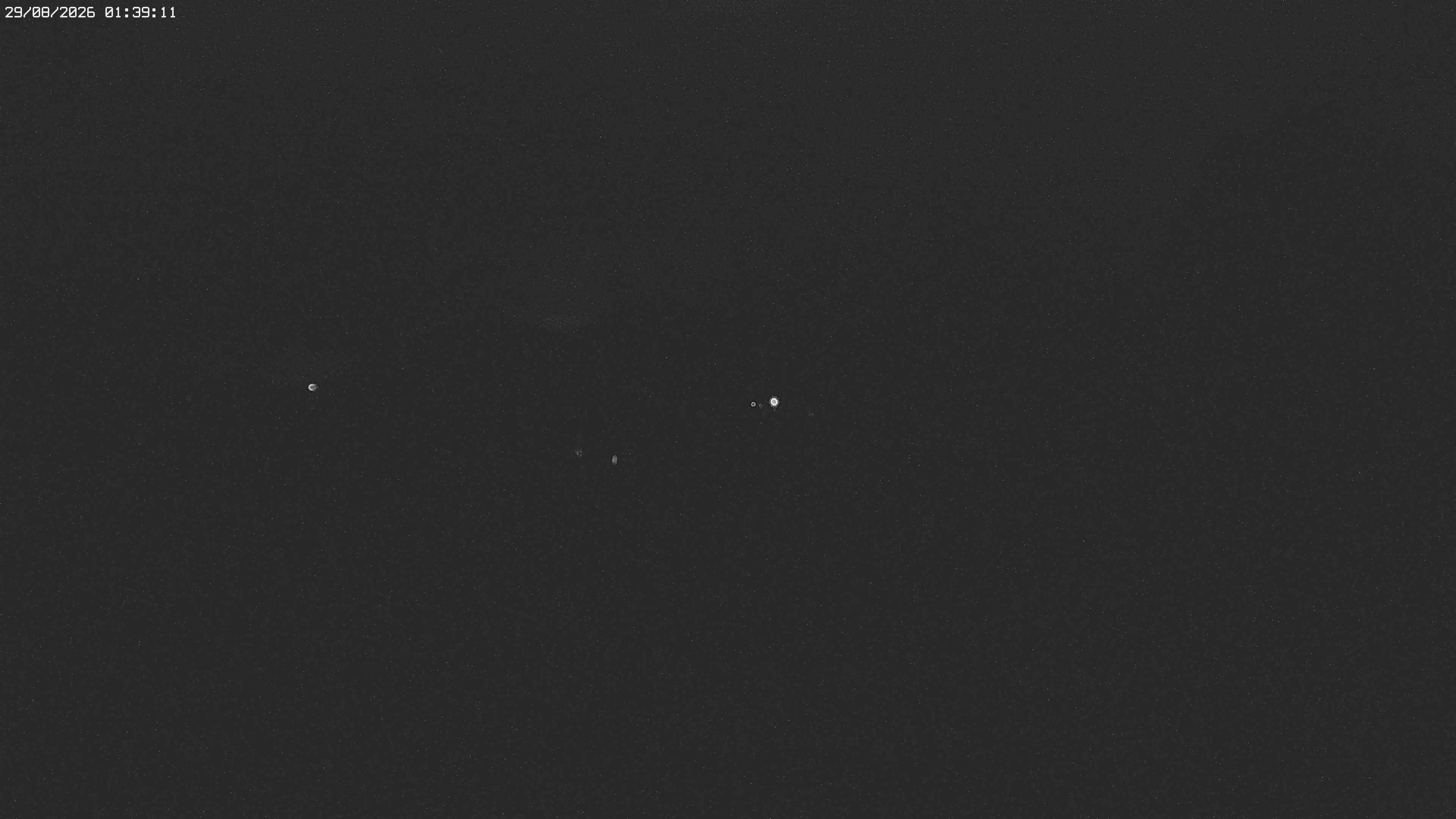 Archiv Foto Webcam Jägeralpe bei Warth