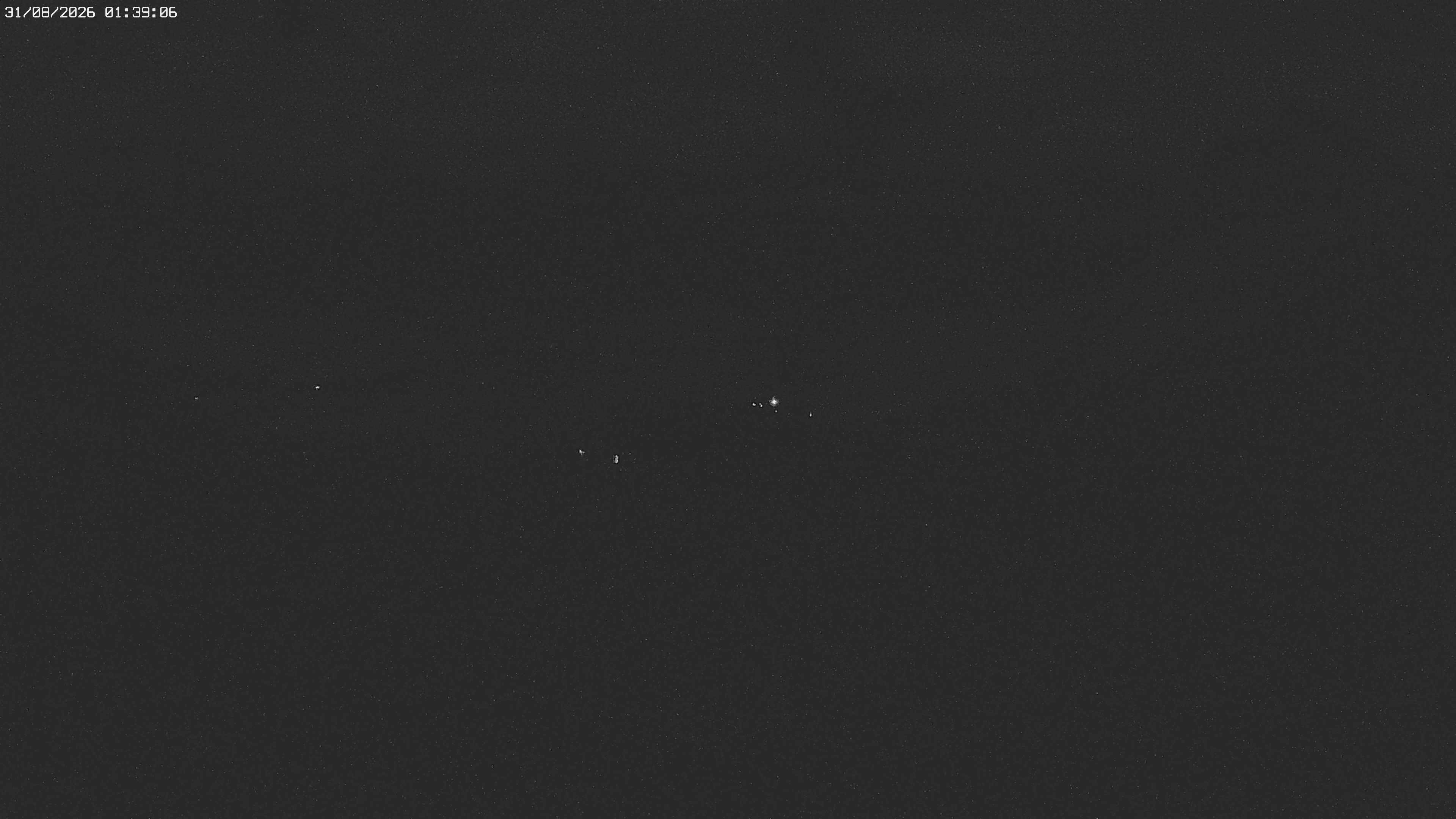 Archived image Webcam Jägeralpe near Warth
