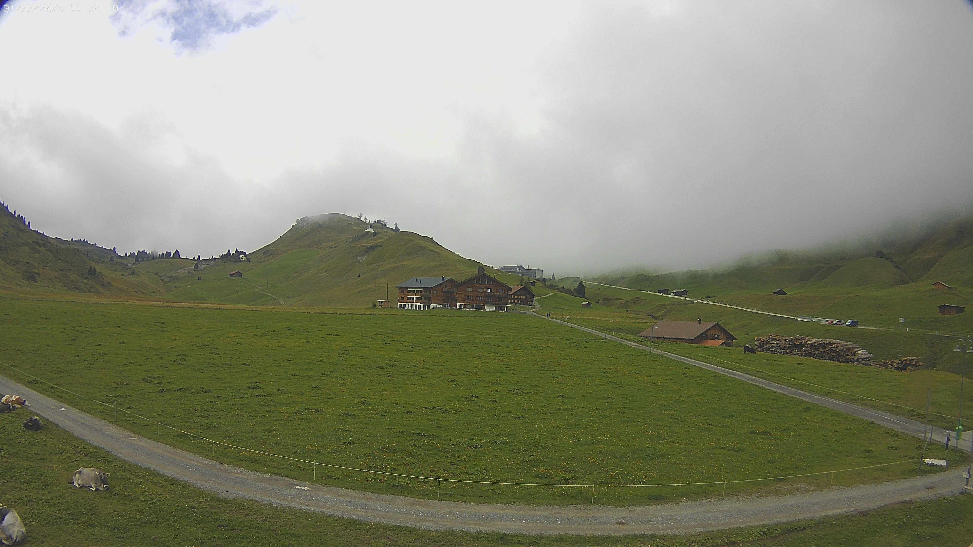 Archived image Webcam Jägeralpe near Warth