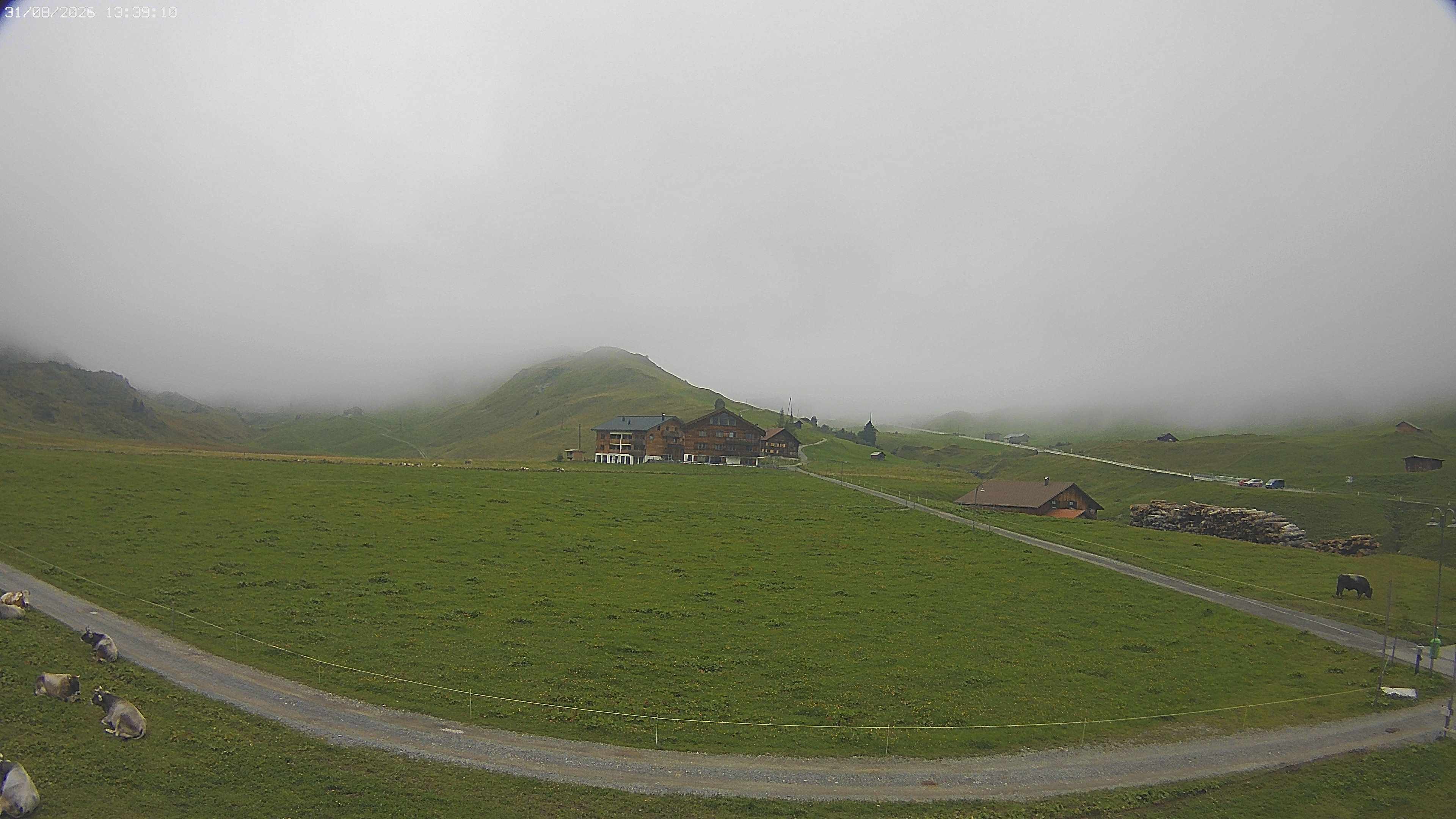 Archived image Webcam Jägeralpe near Warth