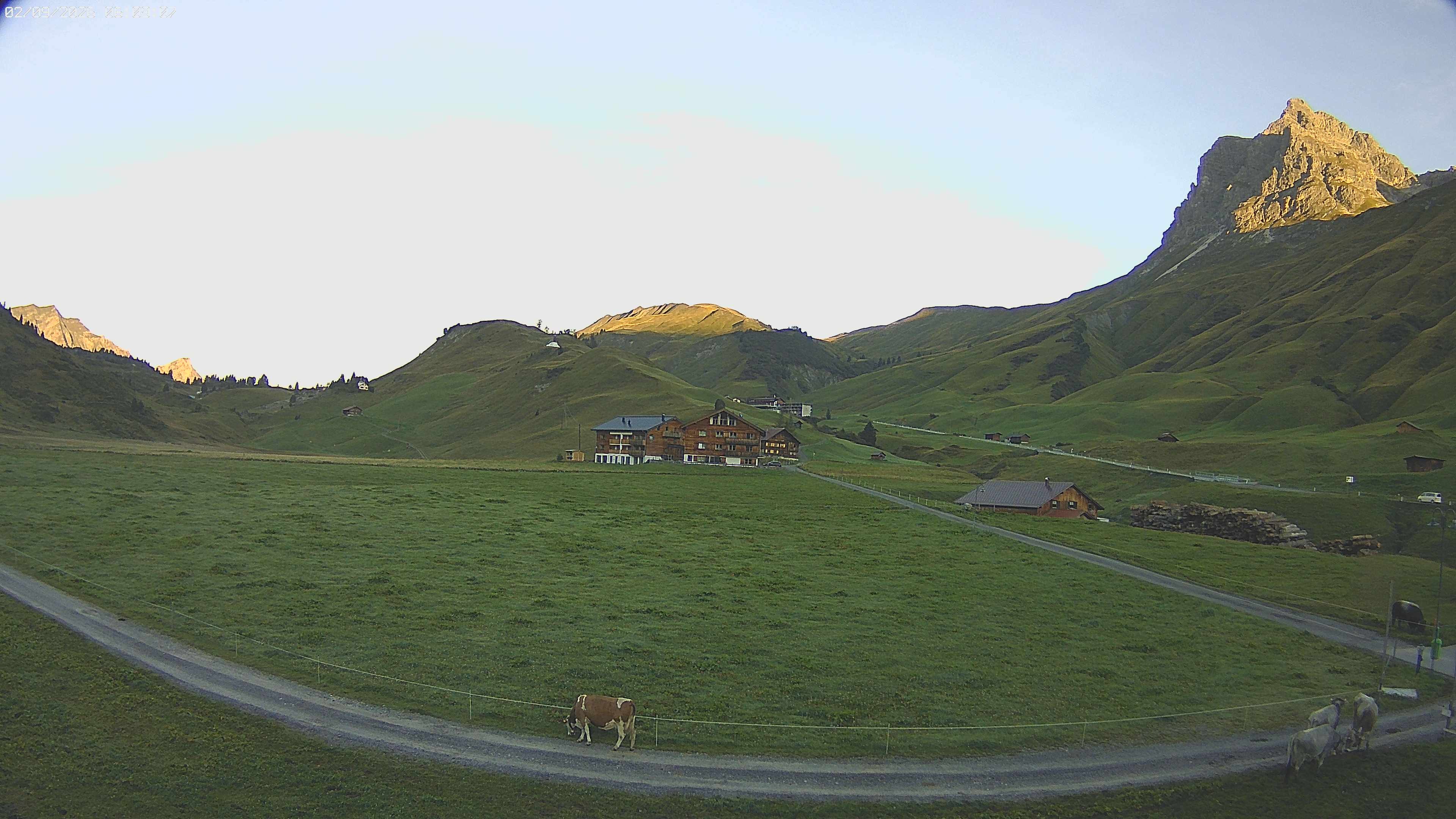 Archiv Foto Webcam Jägeralpe bei Warth