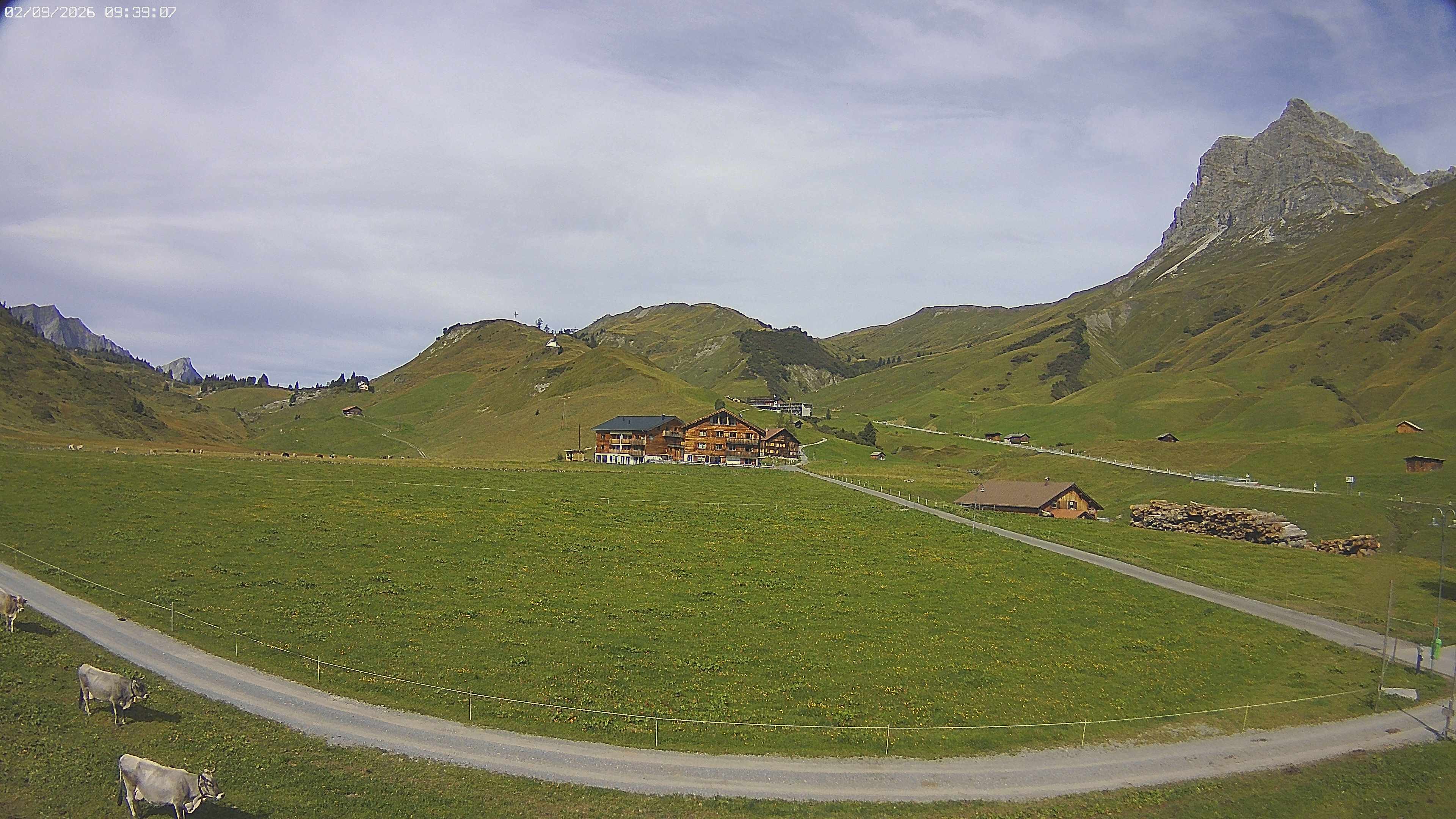 Archiv Foto Webcam Jägeralpe bei Warth