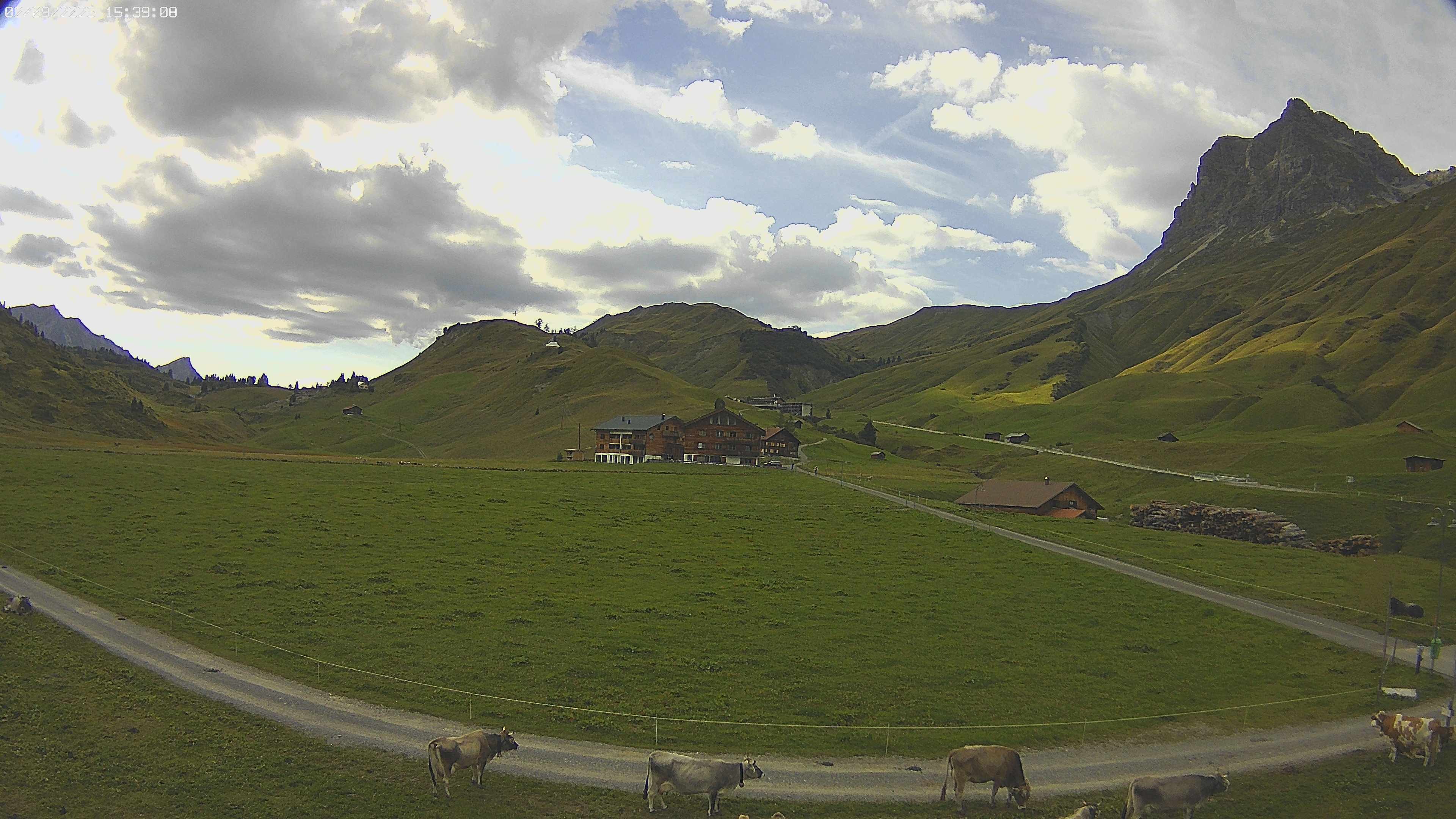 Archiv Foto Webcam Jägeralpe bei Warth