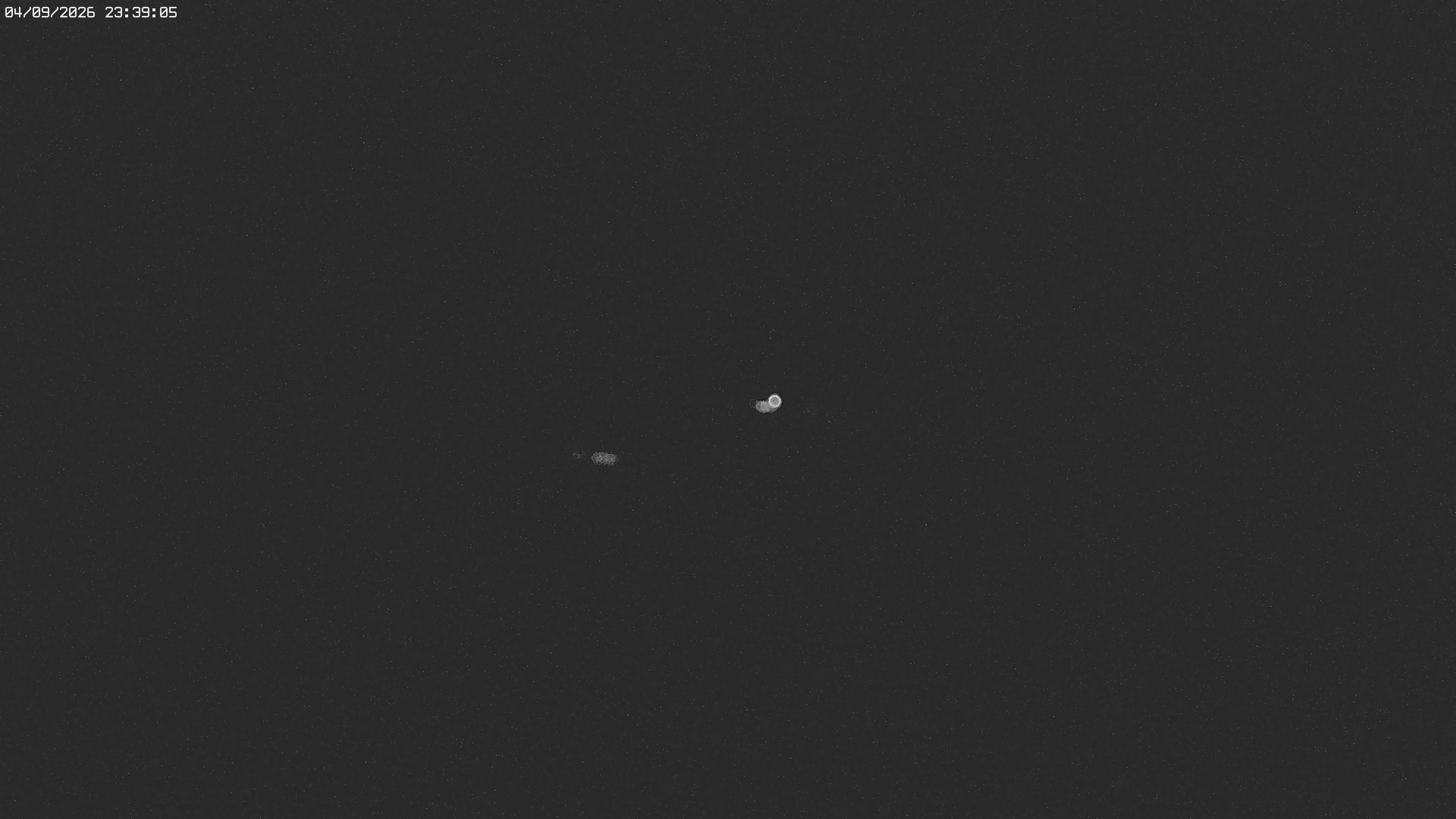 Archived image Webcam Jägeralpe near Warth