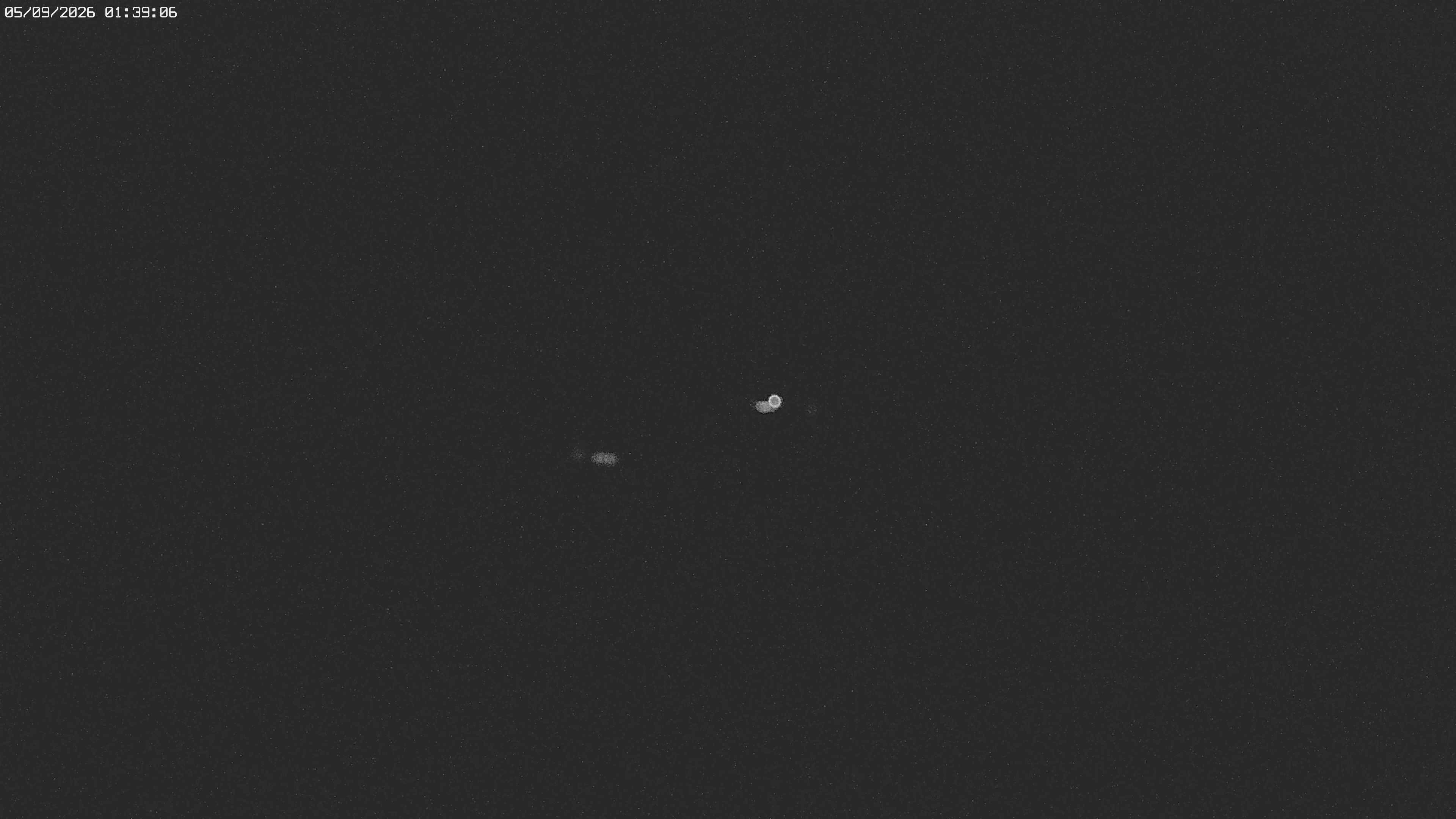 Archived image Webcam Jägeralpe near Warth