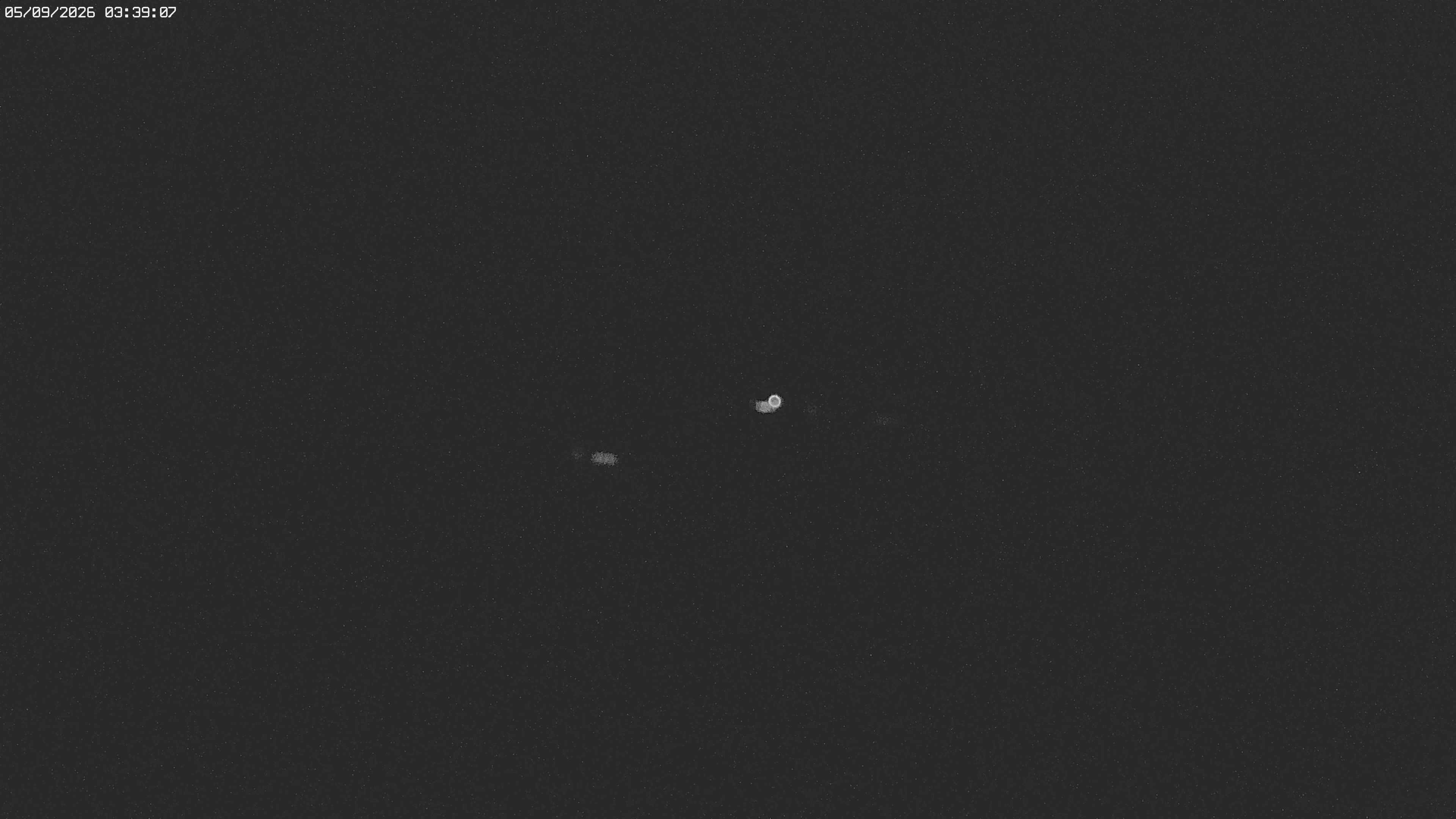 Archived image Webcam Jägeralpe near Warth